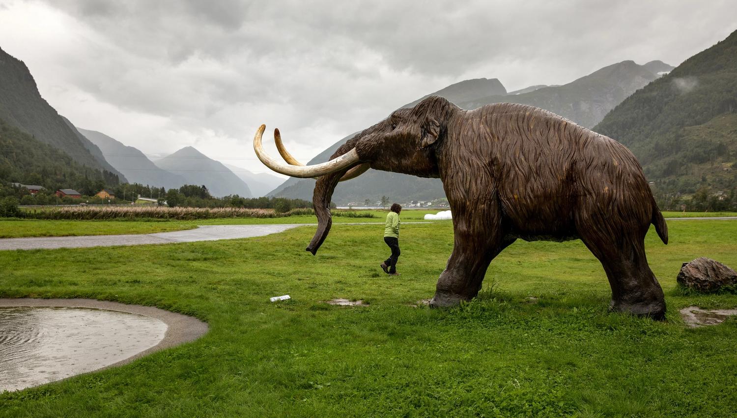 Norsk Bremuseum