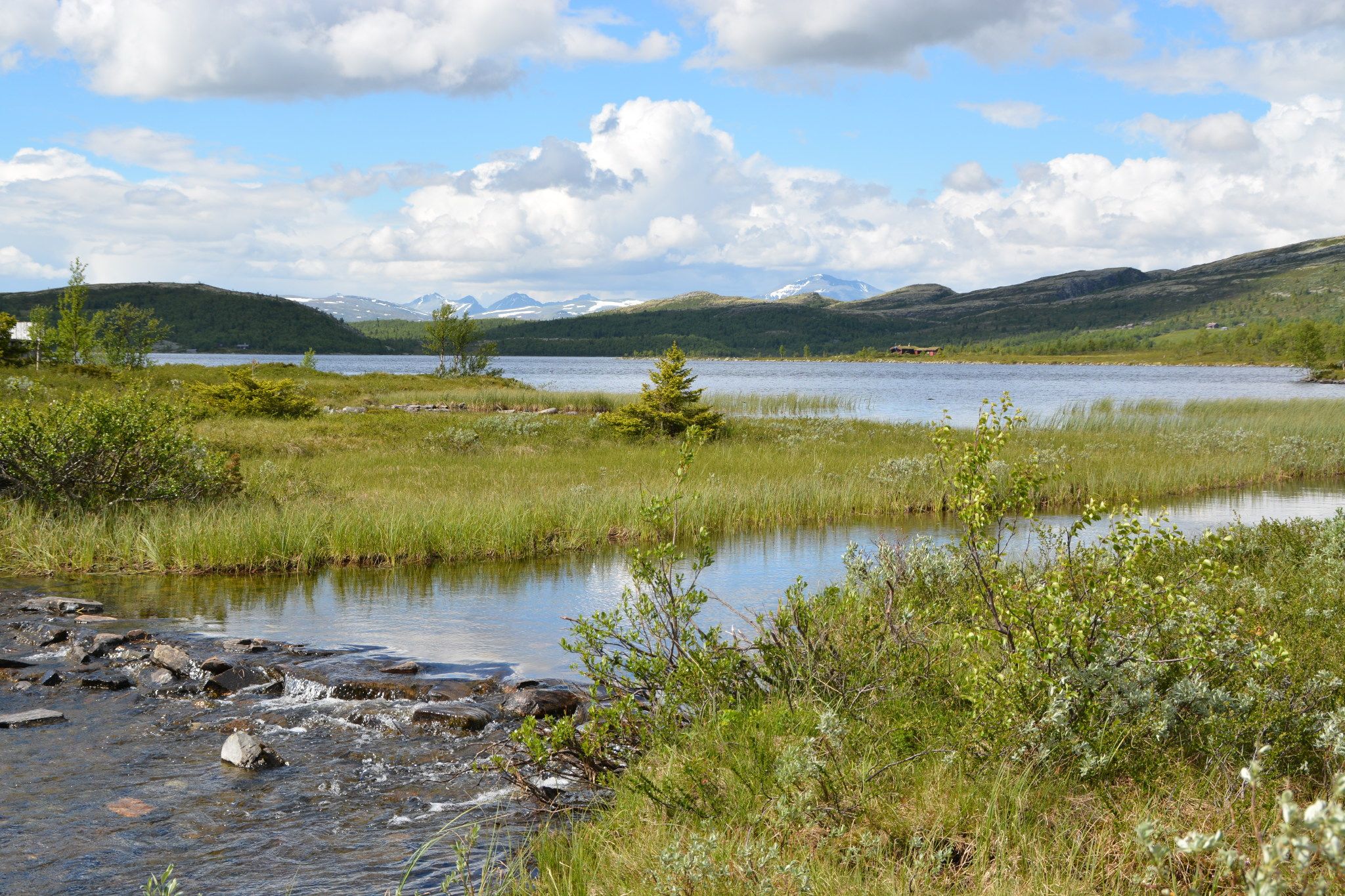 Utsikt mot Rondane fra Svartfjellvegen Foto Julia Hamre_preview