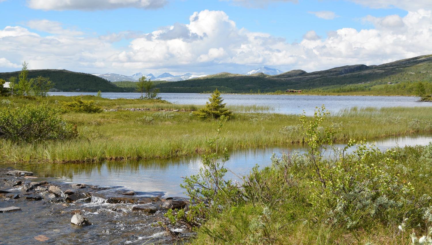 Utsikt mot Rondane fra Svartfjellvegen Foto Julia Hamre_preview