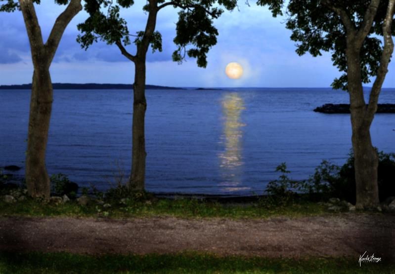 Utsikt over solnedgang ved vannet fra Munchs park