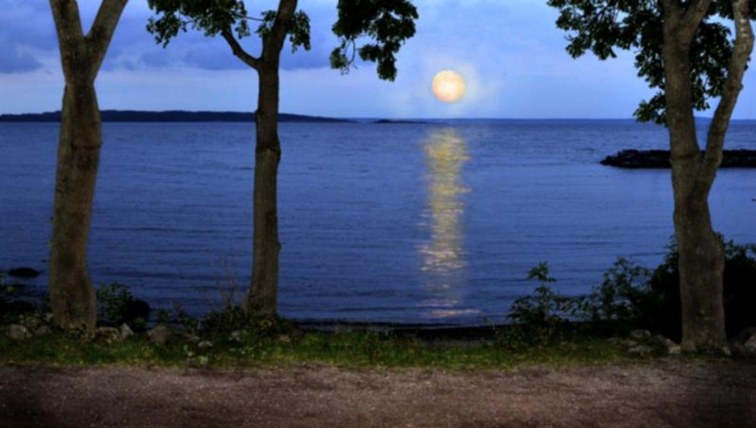 Utsikt over solnedgang ved vannet fra Munchs park