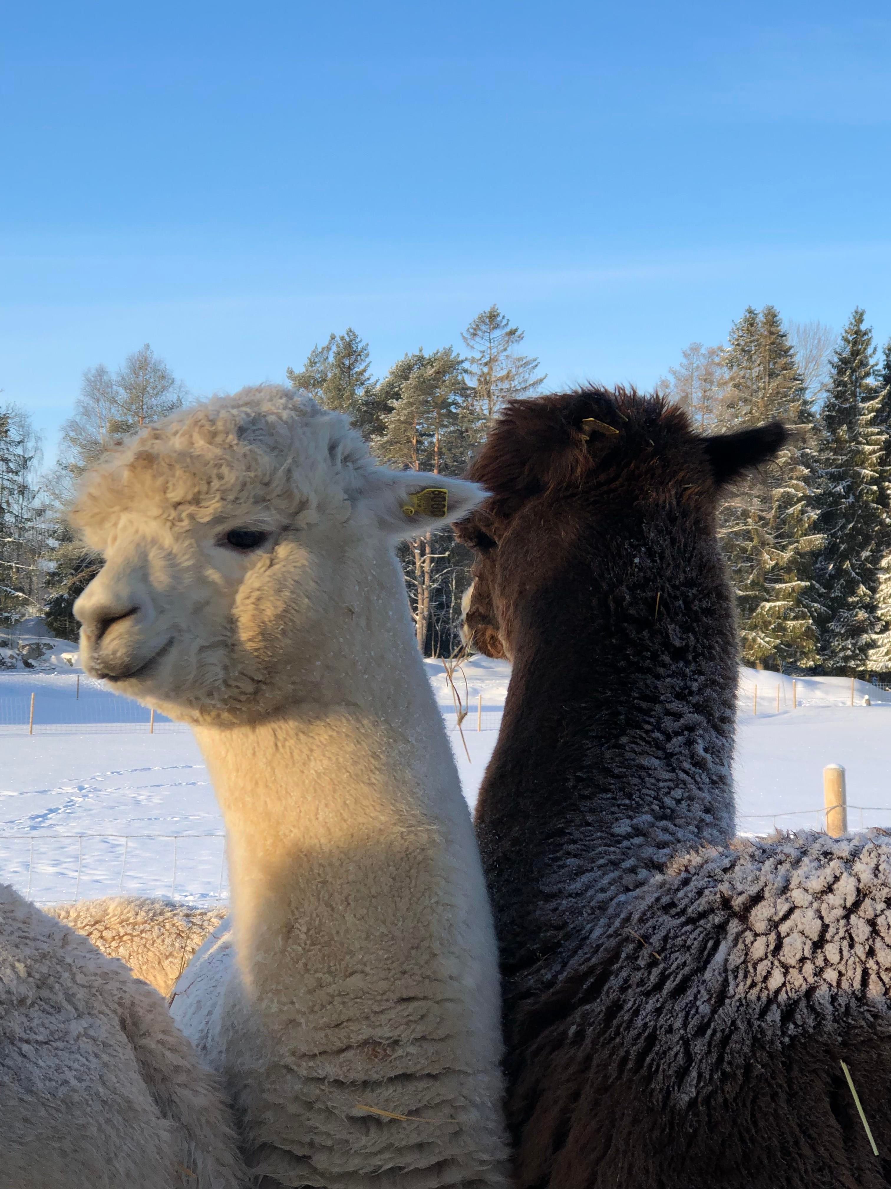 20190129_092450015_iOS