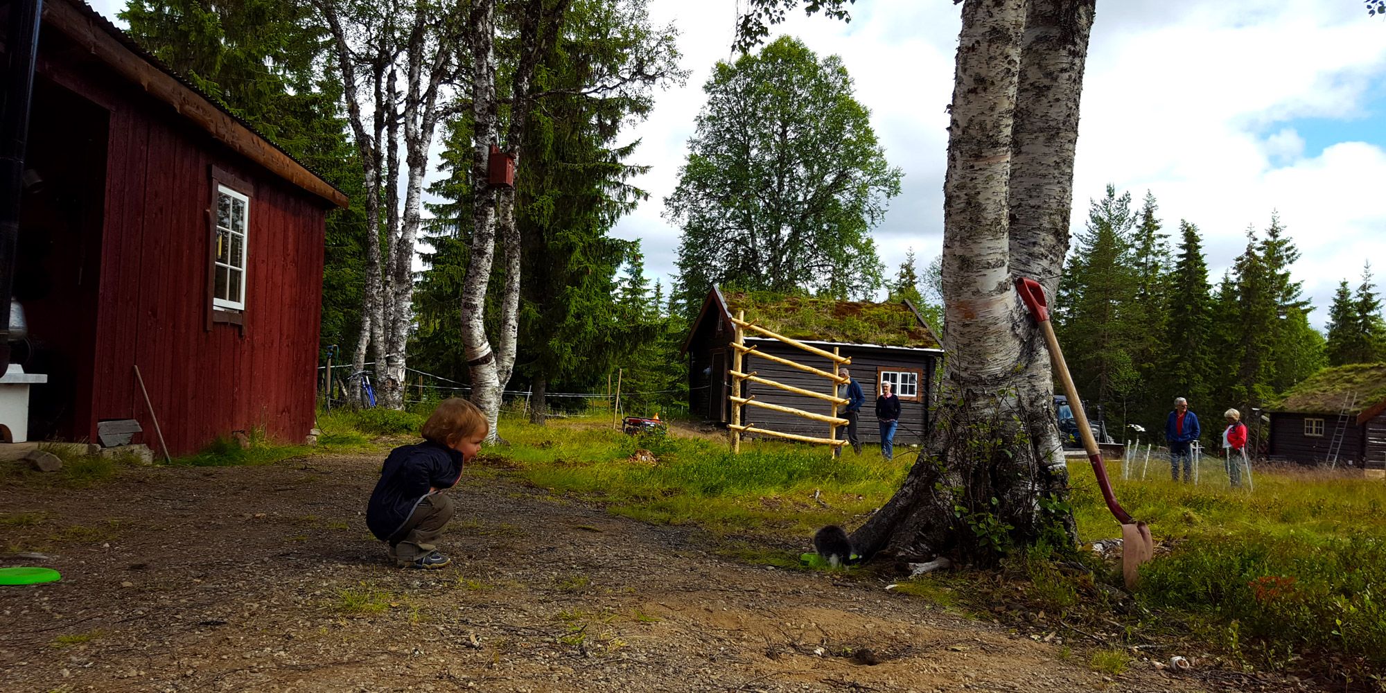 Der er mange dyr å beundre på Holisnseteren, her er det kattepus som beundres