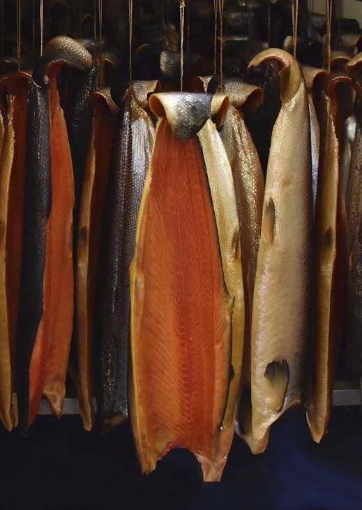 salmon that have been filleted and hung up