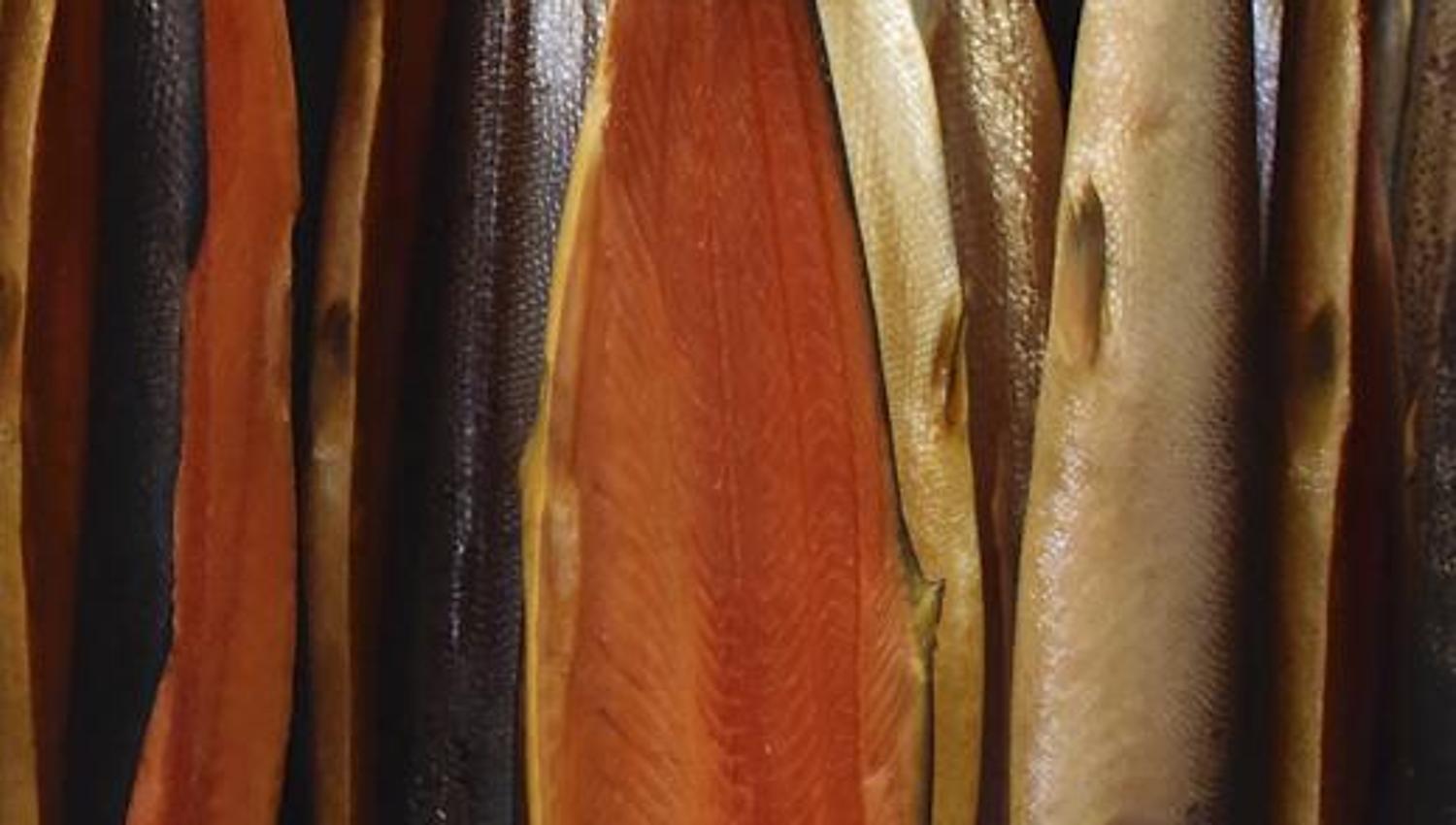 salmon that have been filleted and hung up