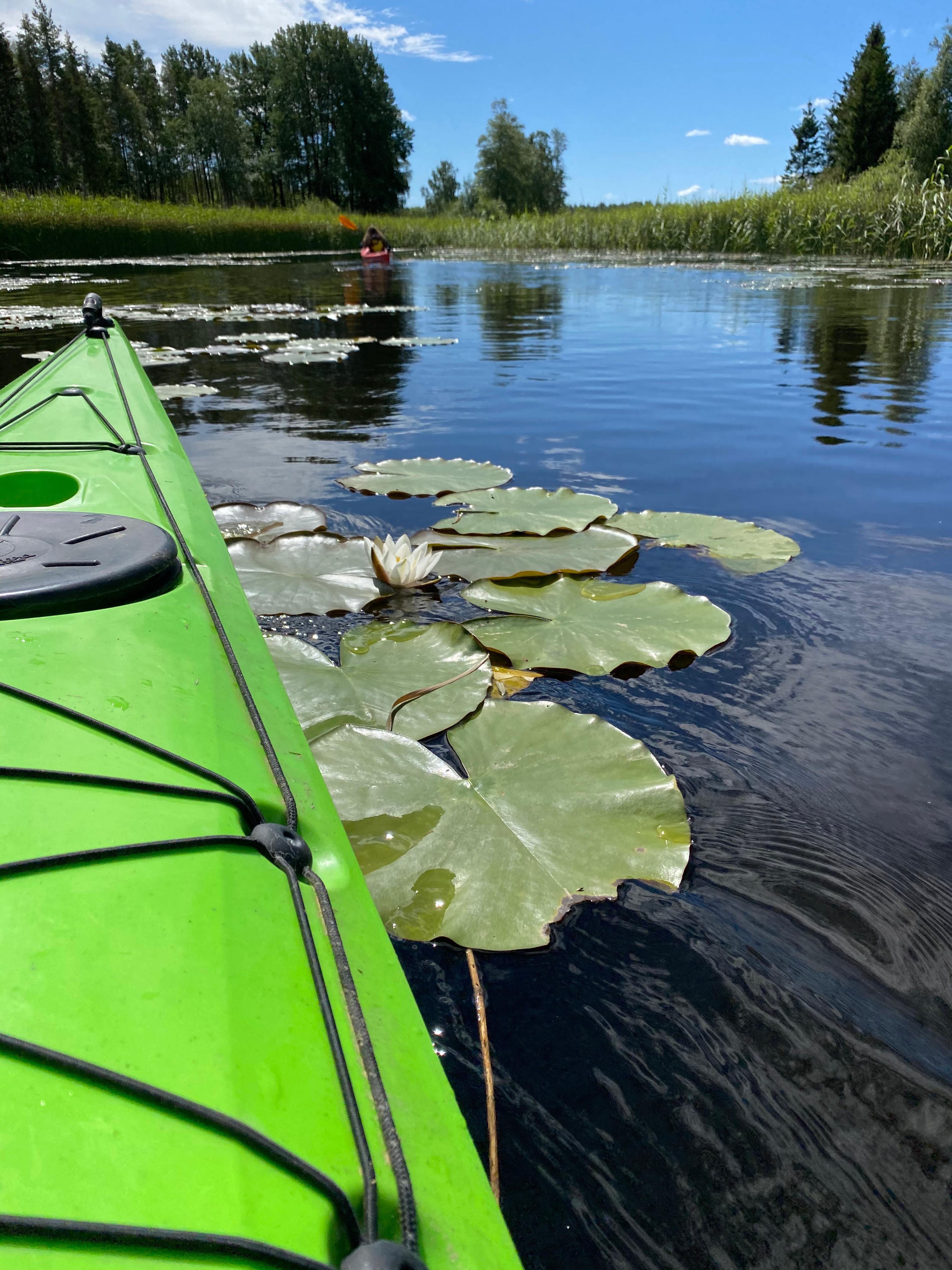 Kano Vestre kjærnes