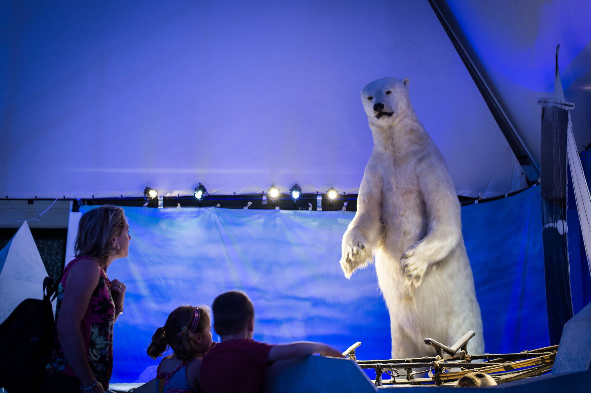 Polar bear at the museum