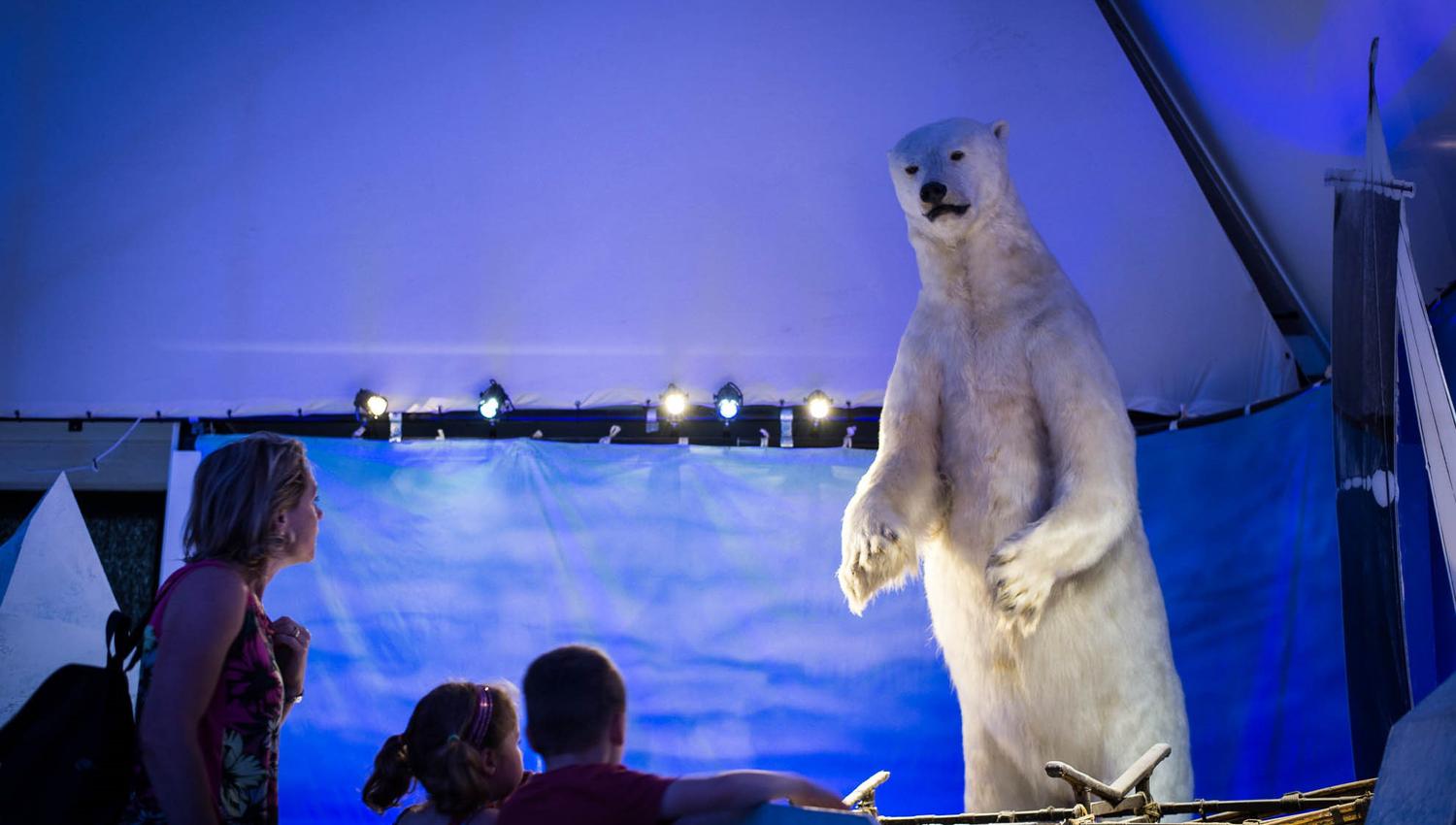 Polar bear at the museum