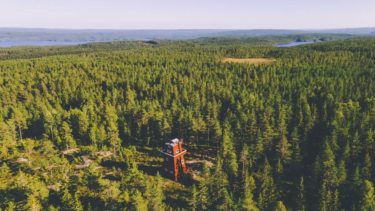 Dronebilde av tårnet