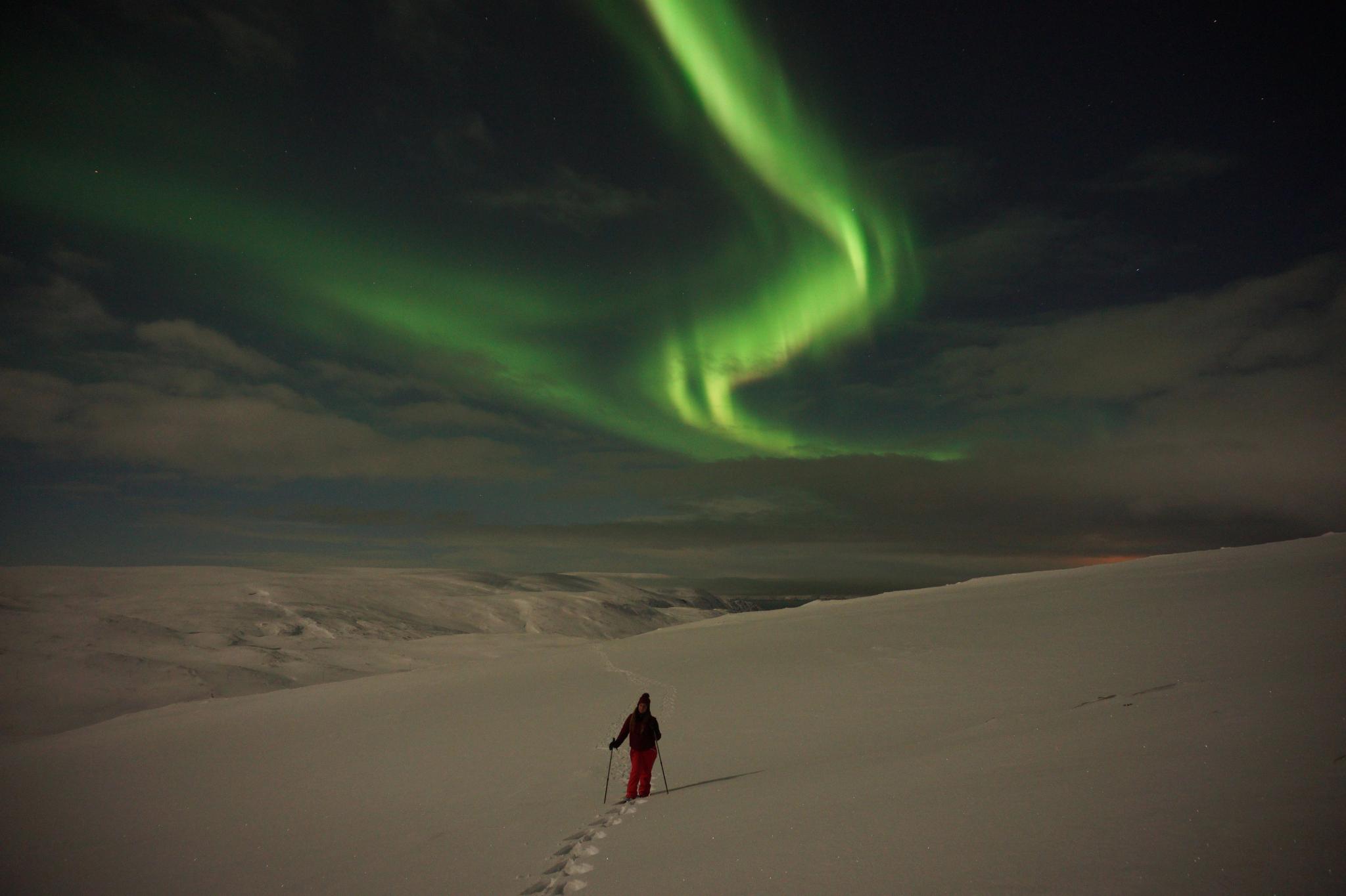 Northern Lights Snowshoe Safari