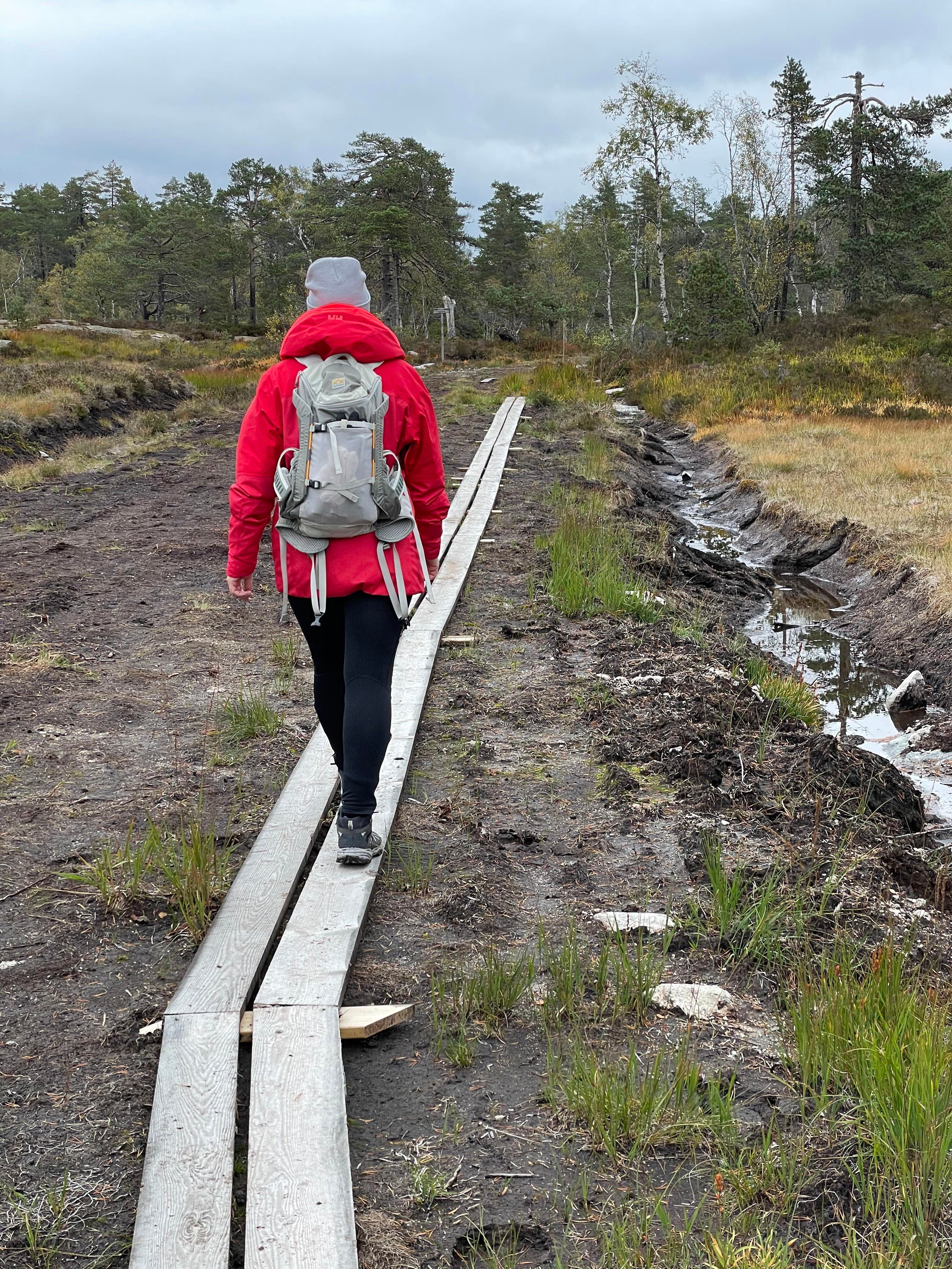 Himmelsyna_4_Foto_Elisabeth_H%C3%B8ibo%C2%A9Visit_S%C3%B8rlandet_