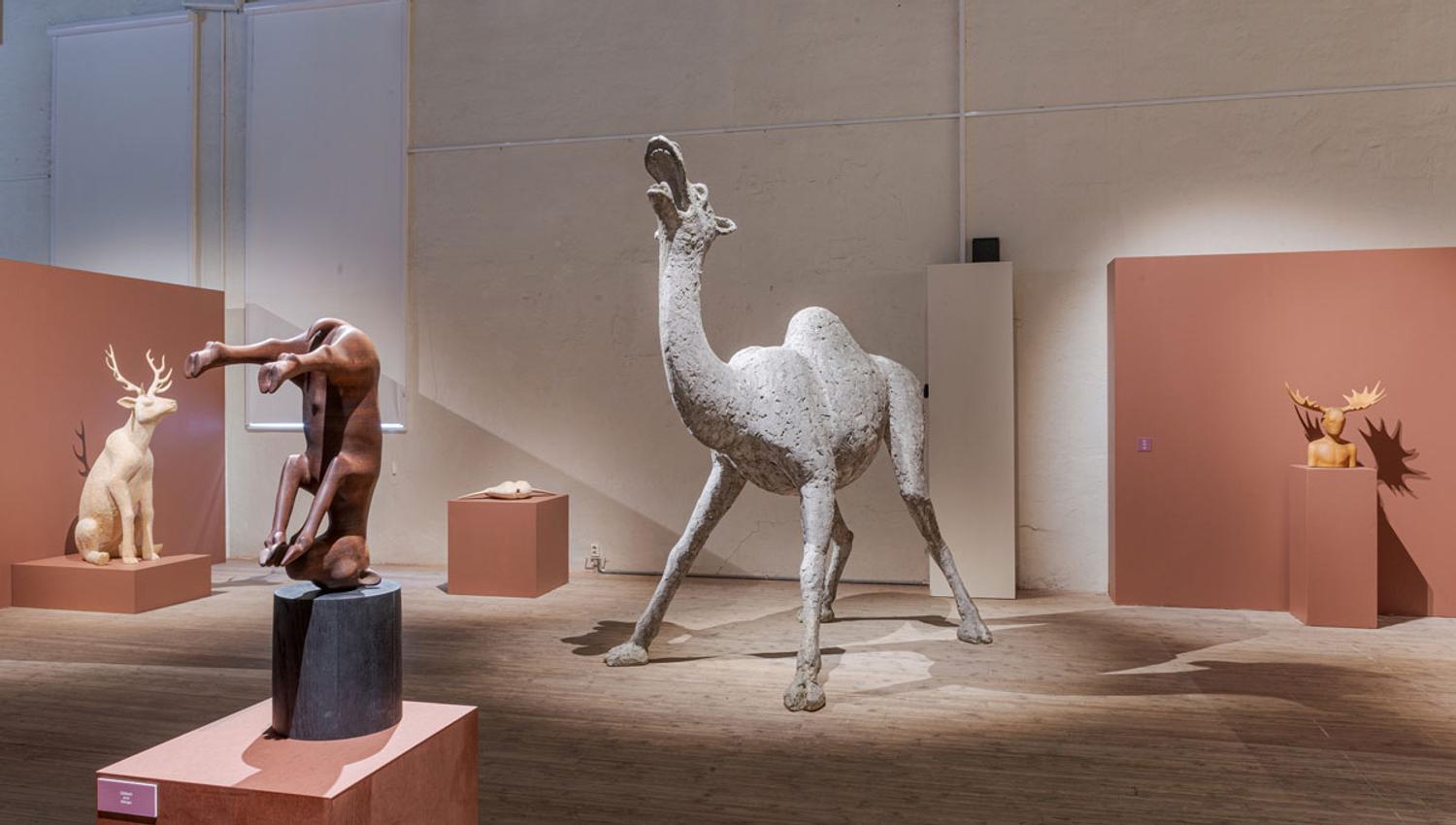 utstilling fra Petter Hepsø på Telemark Kunstmuseum