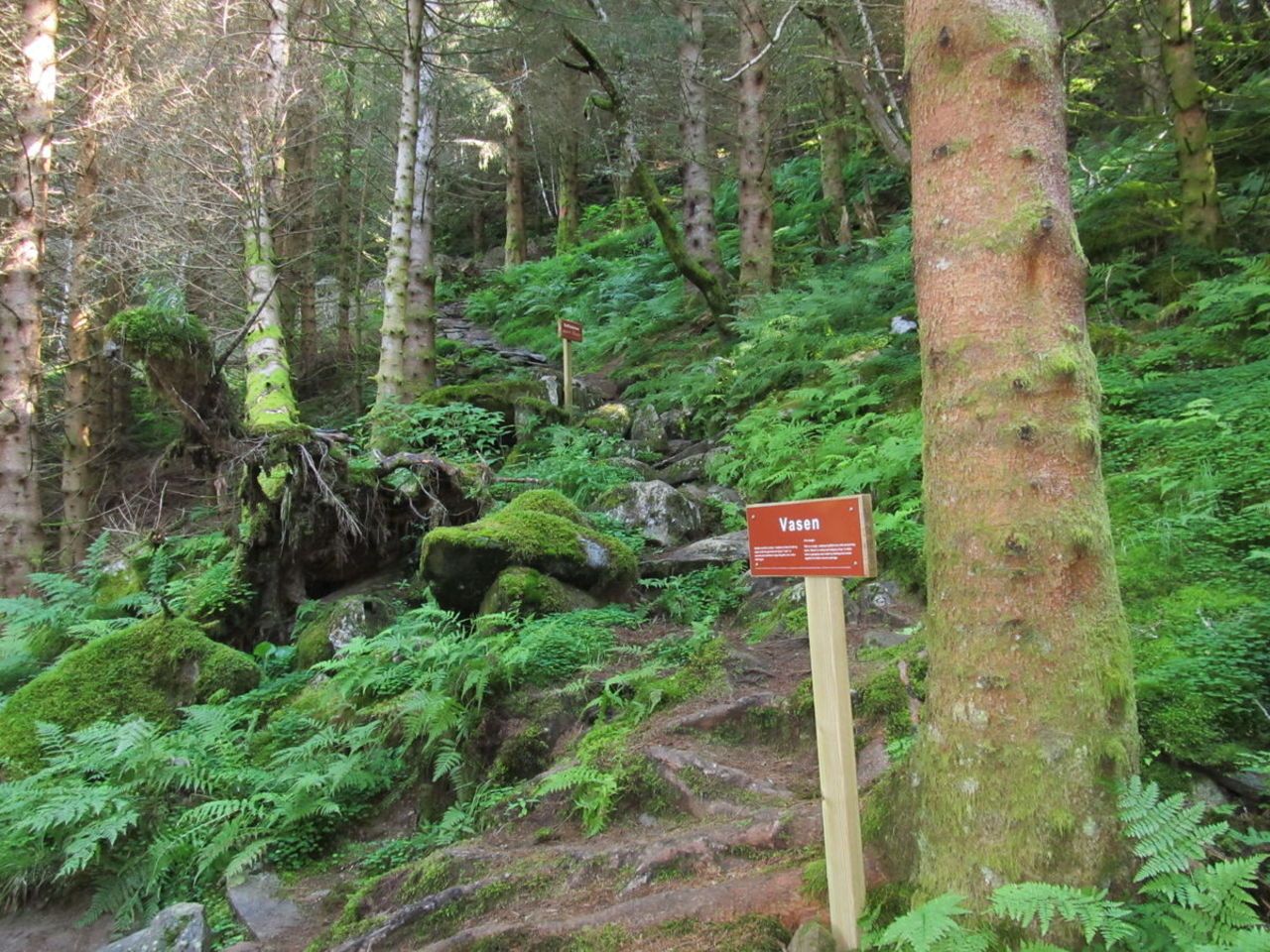 skilt historie til fjellstøl steinar smith