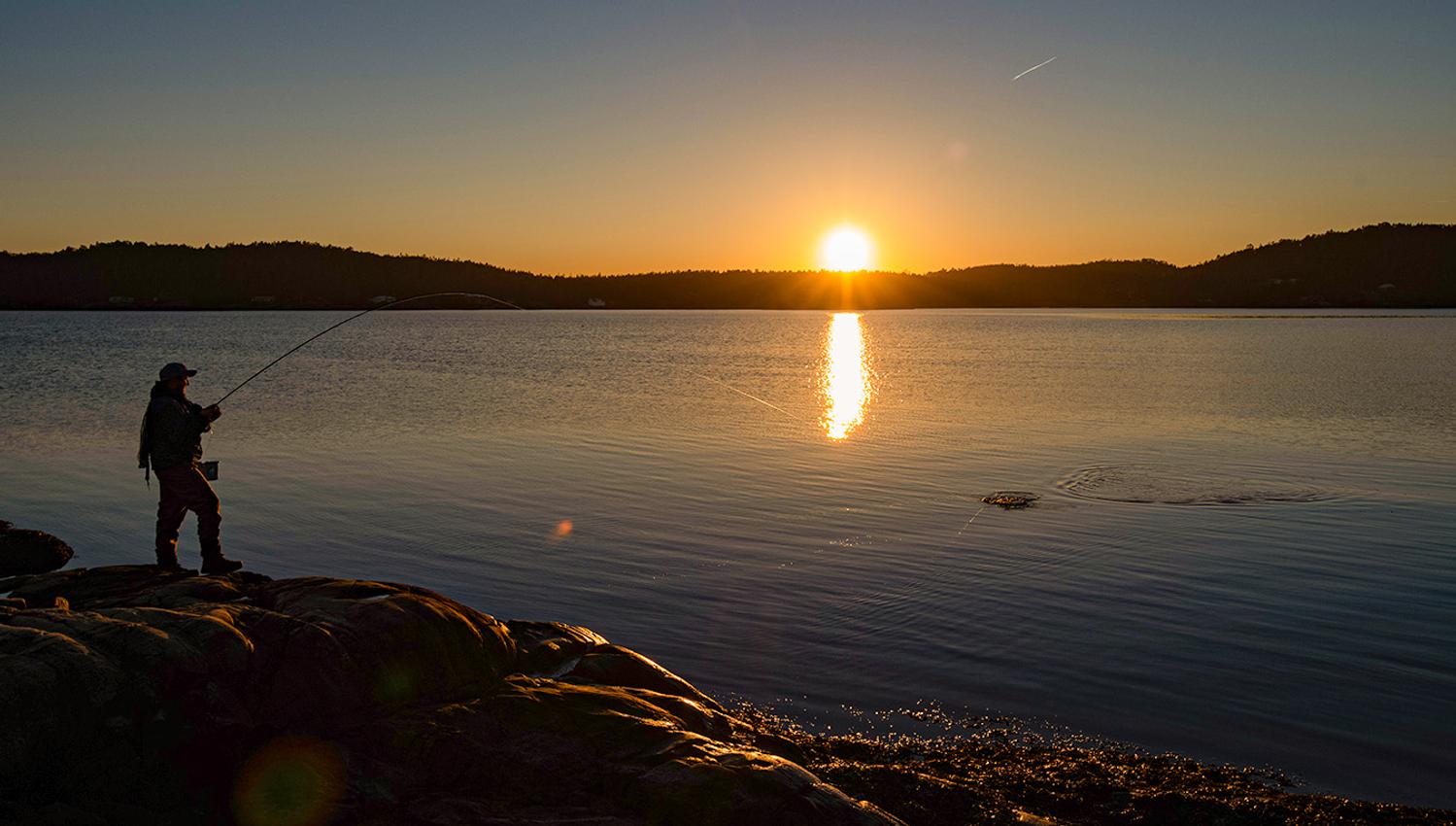 Sjøørretfiske lite Foto villmarksfotografen Tommy Solberg