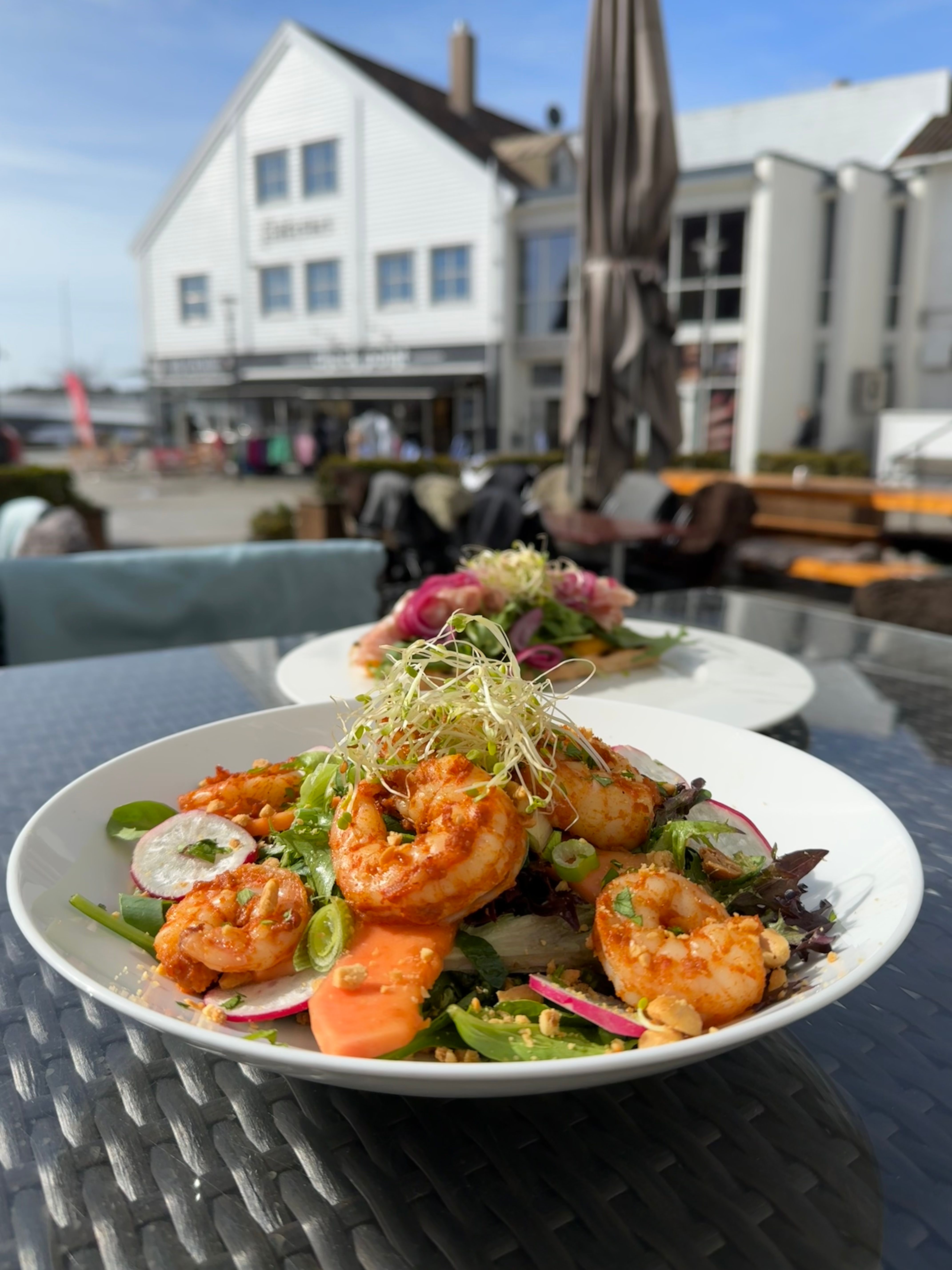 Matbilde, scampisalat, grønn salat med vårløk, reddik, bønnespirer og scampi
