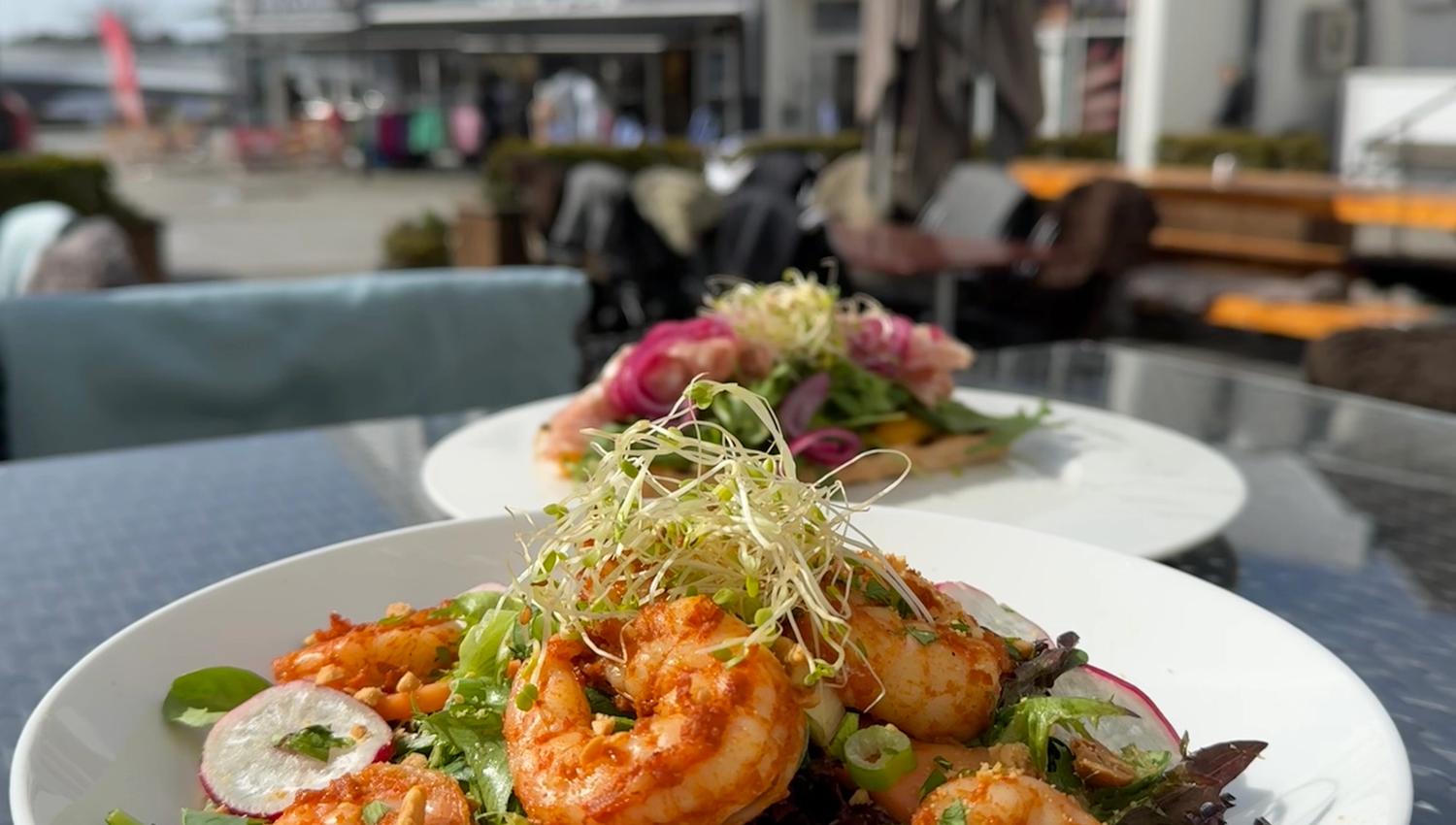 Matbilde, scampisalat, grønn salat med vårløk, reddik, bønnespirer og scampi