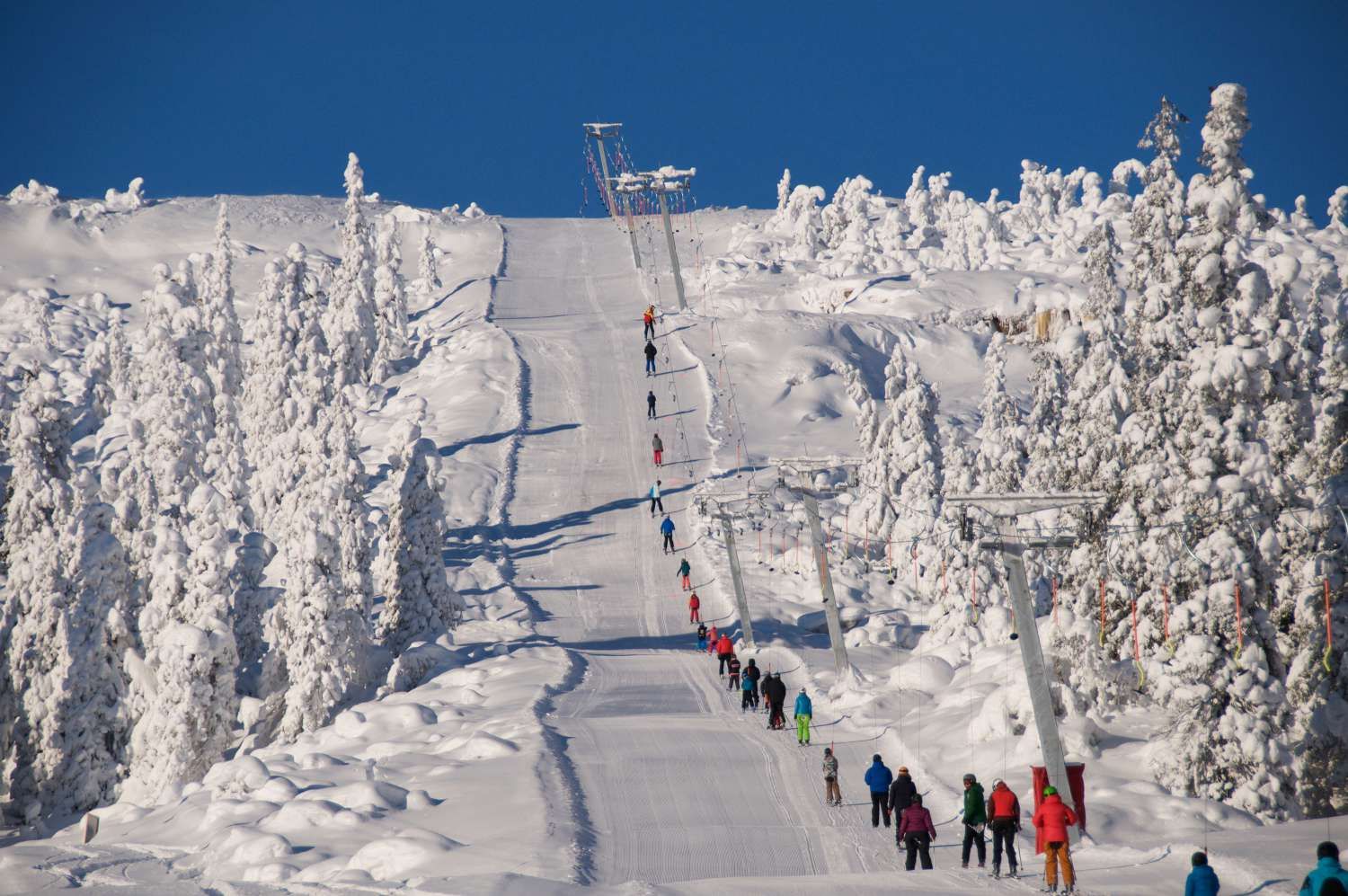 Høgevarde Fjellpark - skitrekk