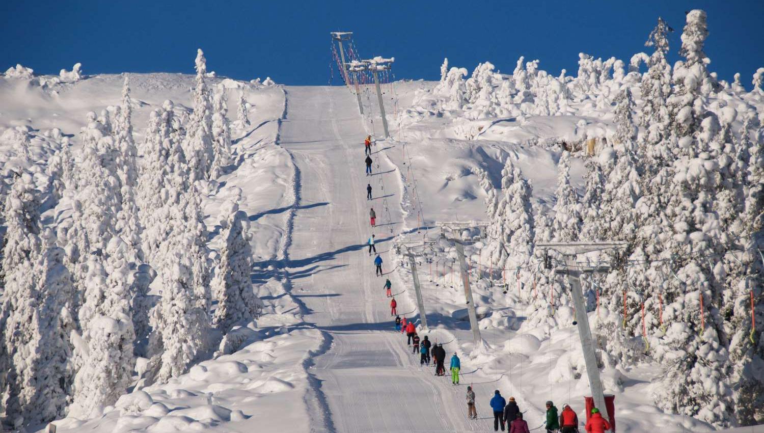 Høgevarde Fjellpark - skitrekk