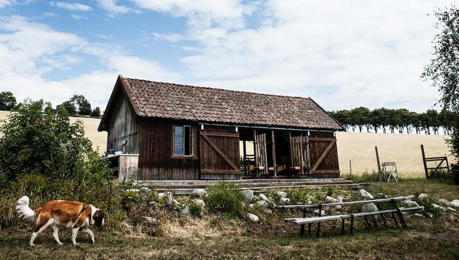 Interiøret til Sommerfjøset