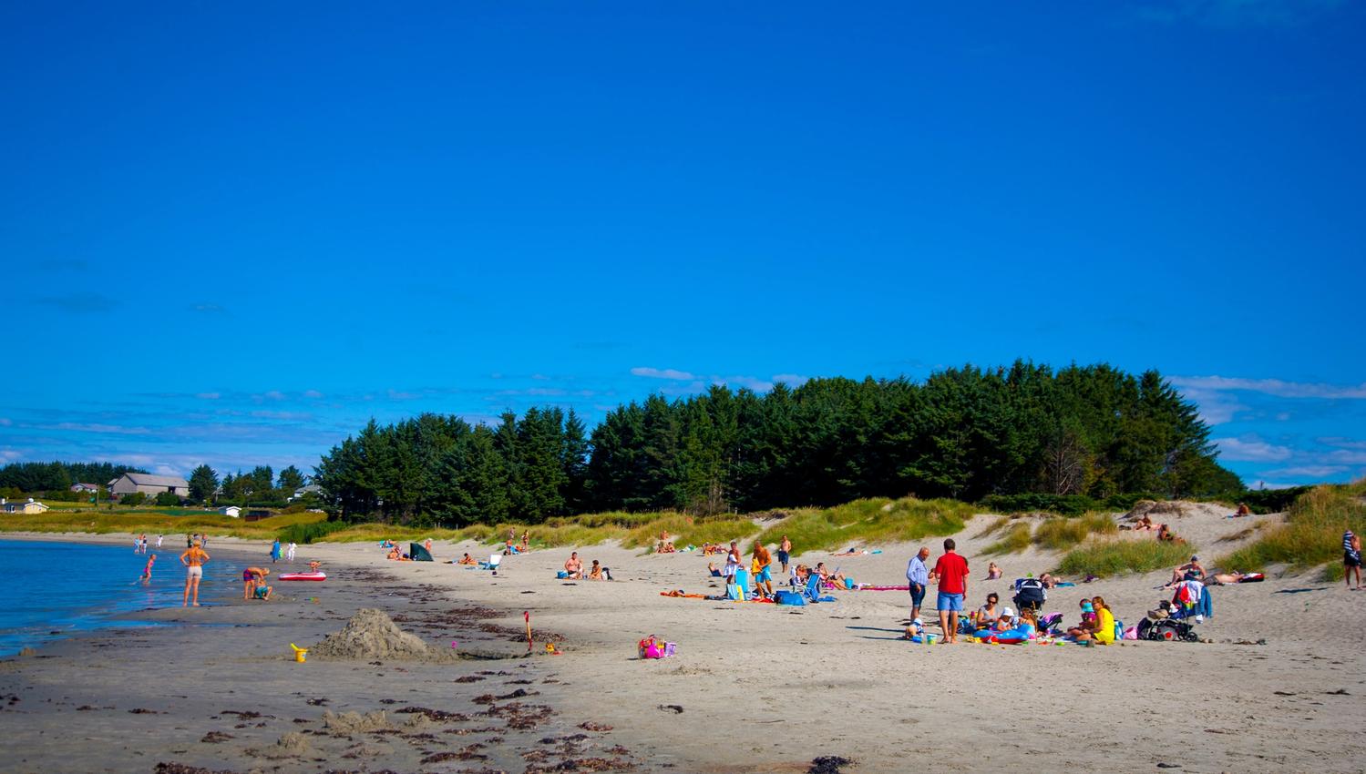 Sommerdag på Sandestranda