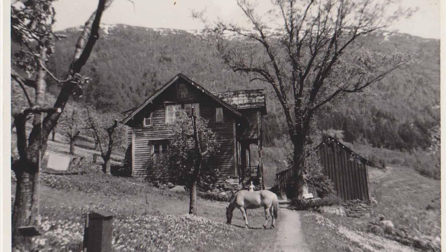 Historisk bilete av Syse Gard rundt 1950, med eit hest beitande i frukthagen.