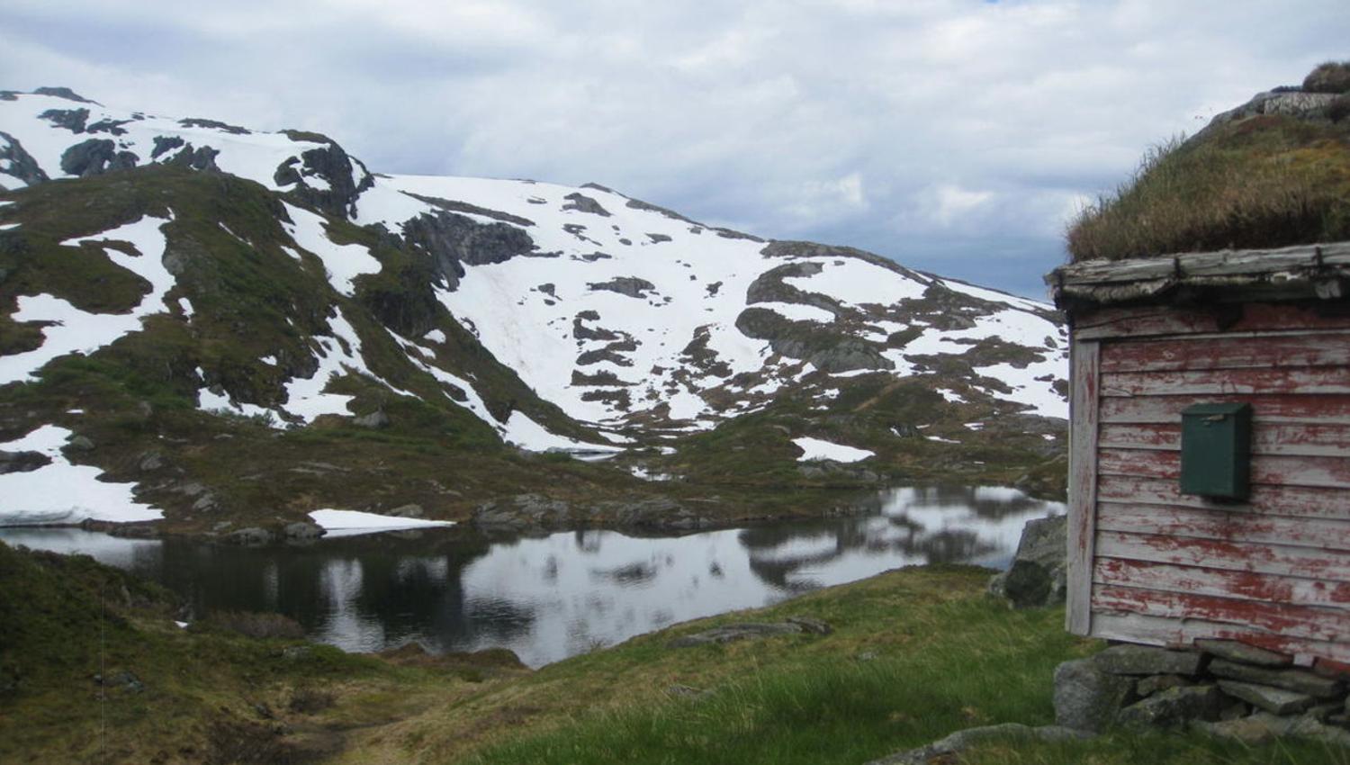 osadal støl Sveinung Selsvik