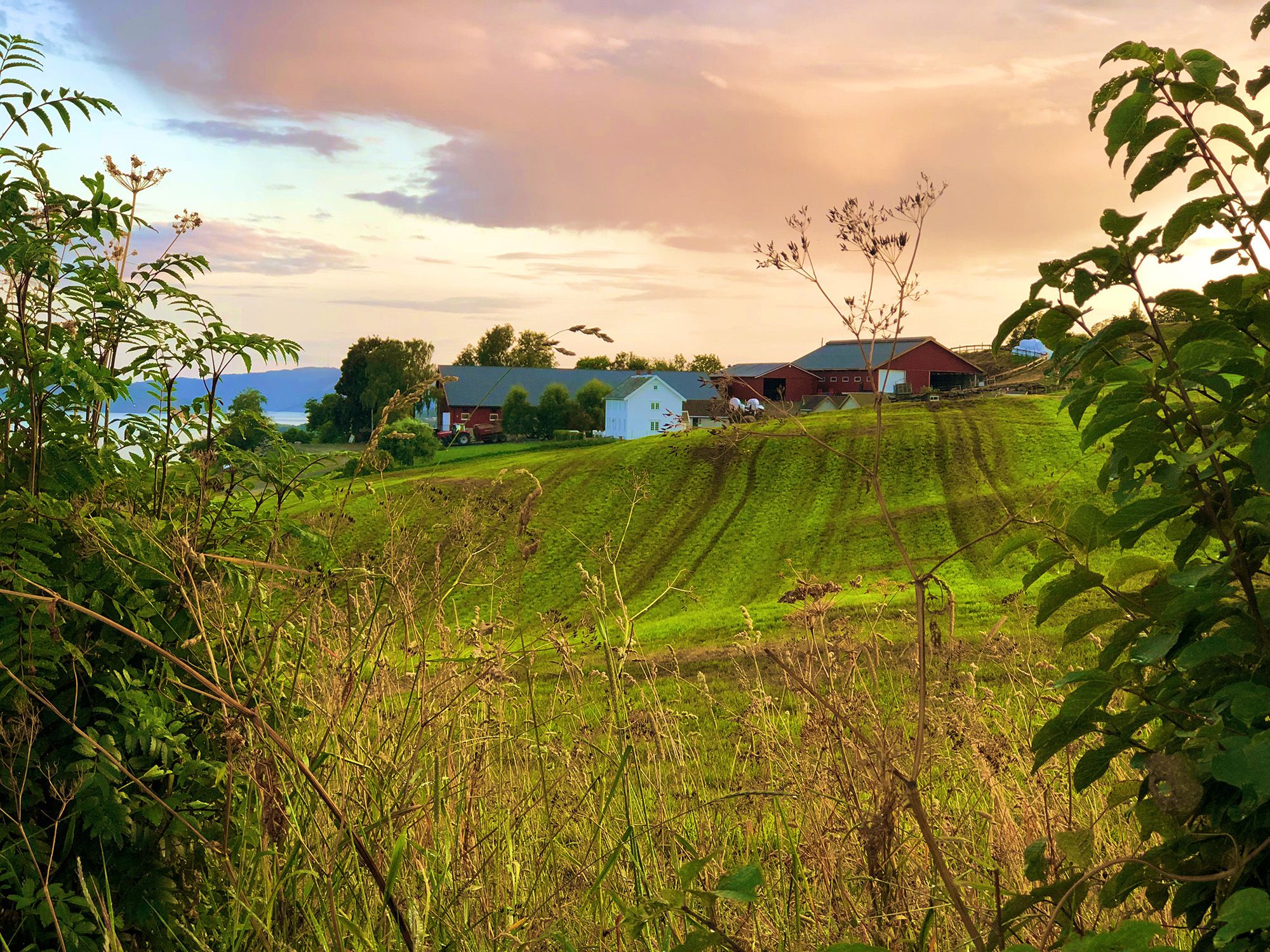Husfrua Gårdshotell sett fra Øyna Kulturlandskapshotell