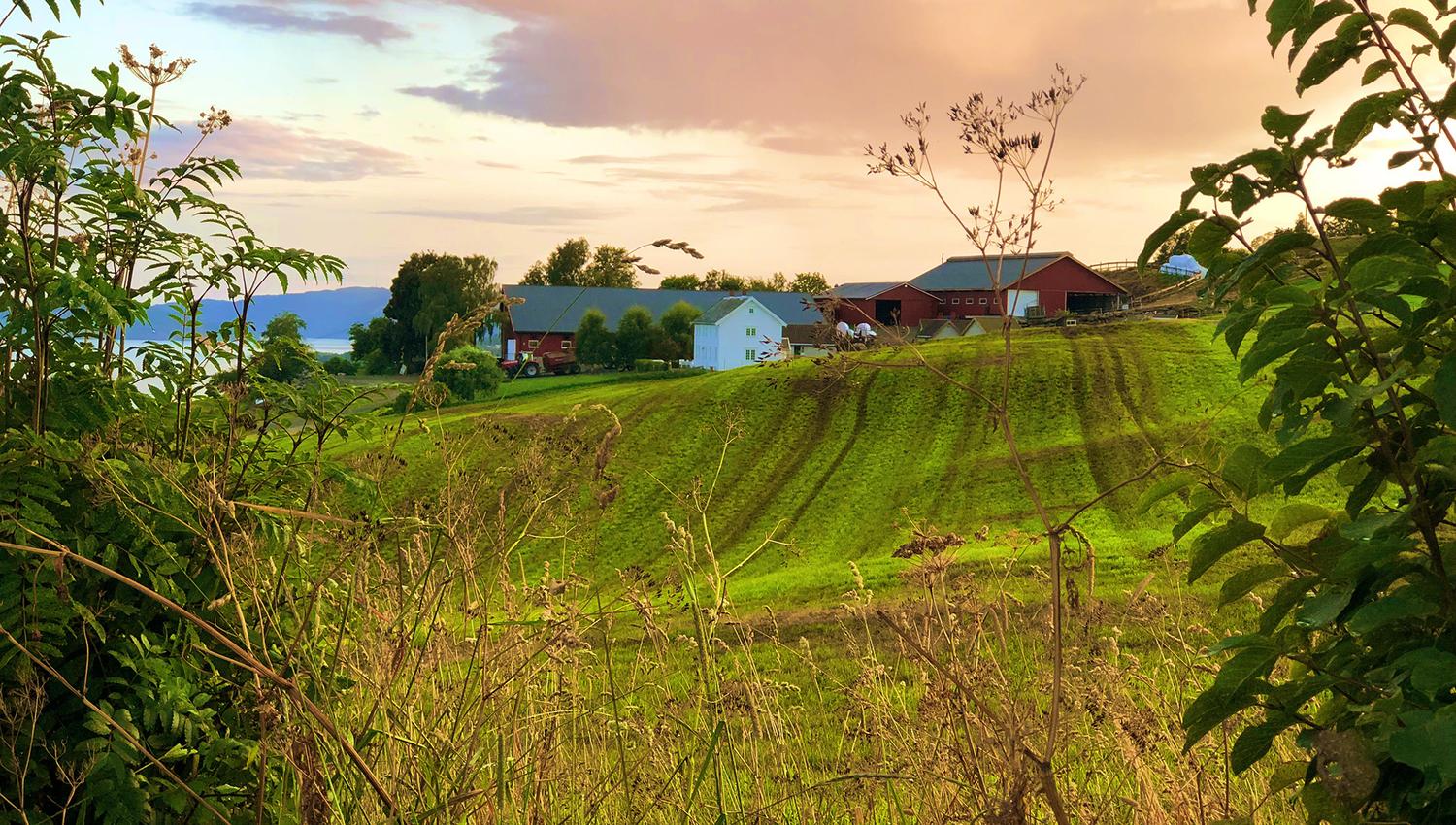 Husfrua Gårdshotell sett fra Øyna Kulturlandskapshotell