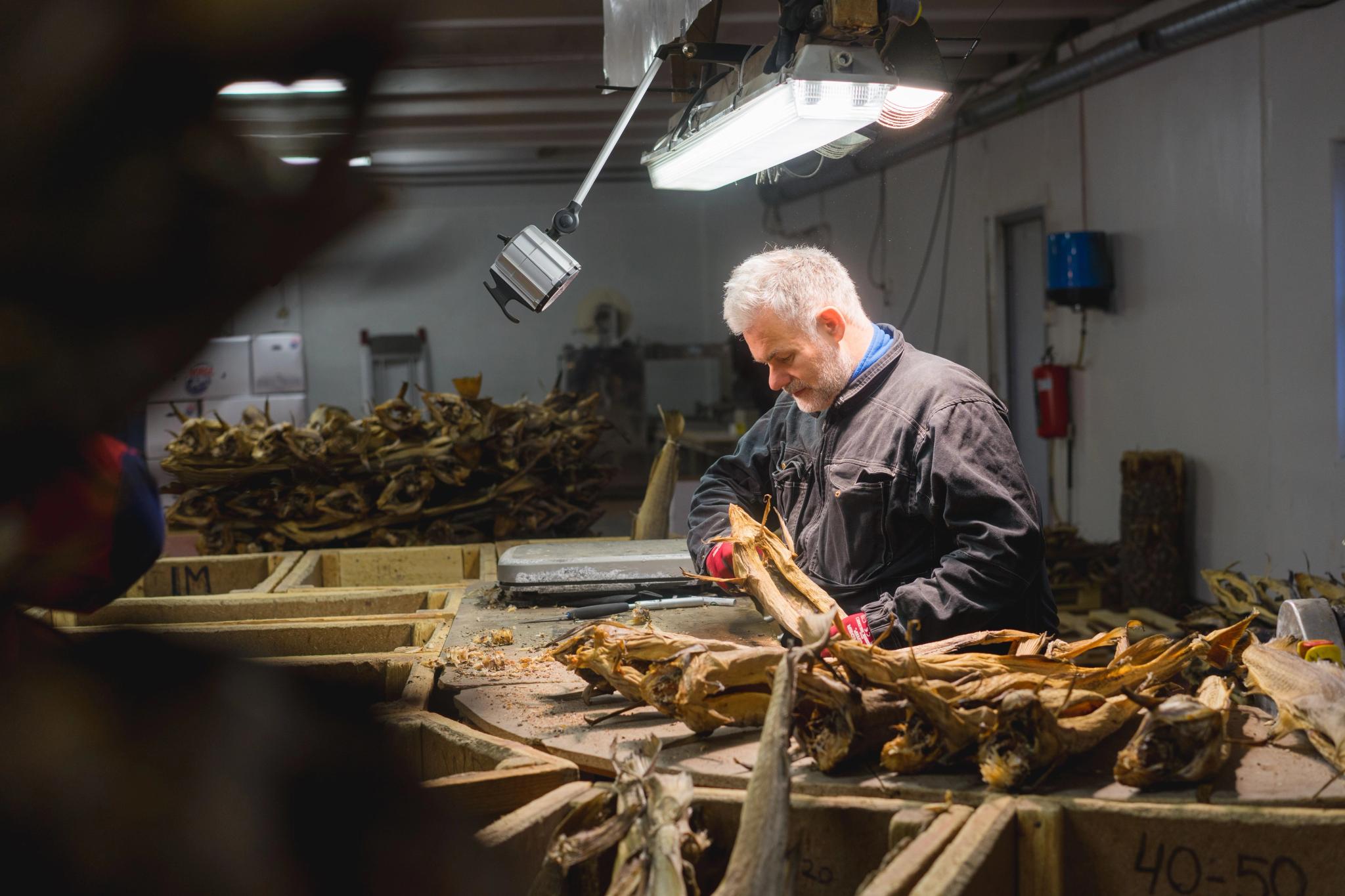 Every fish is checked 