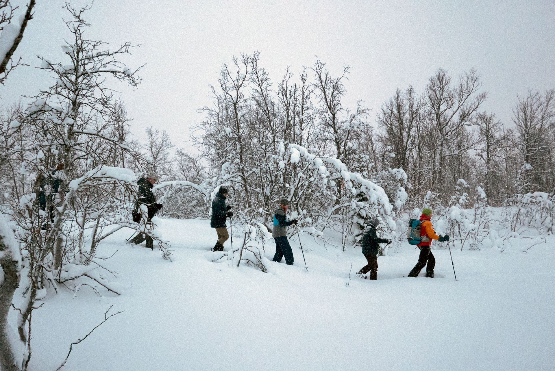 Five people hiking through a snow-covered forest wearing winter clothing and carrying backpacks.