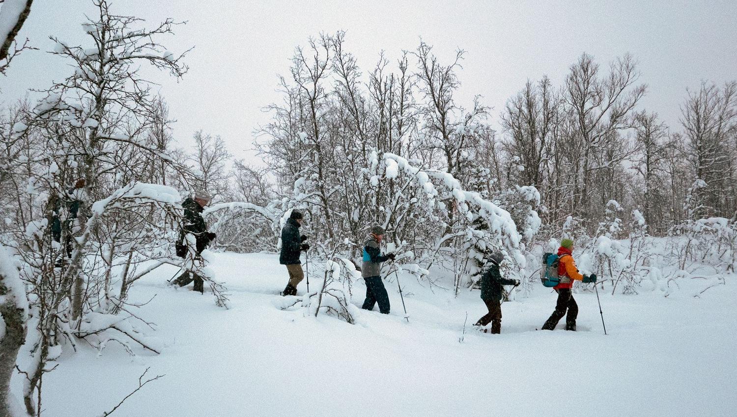 Five people hiking through a snow-covered forest wearing winter clothing and carrying backpacks.