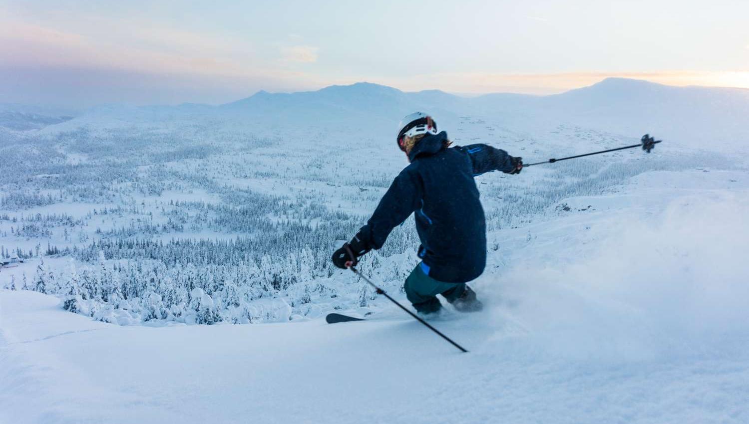 Høgevarde Fjellparl - alpinist