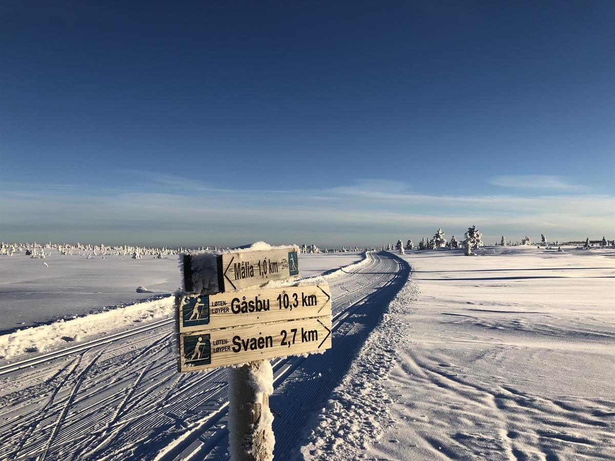 En vinterlig fjellvidde med klare blå himmel, ski­skilt i forgrunnen og åpne hvite sletter i bakgrunnen.
