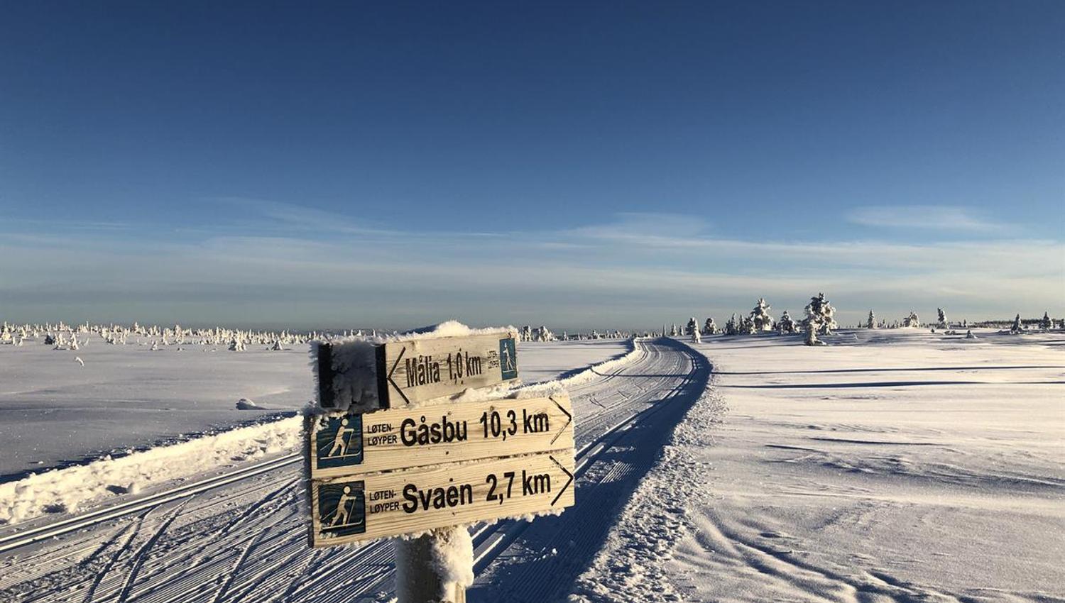 En vinterlig fjellvidde med klare blå himmel, skiskilt i forgrunnen og åpne hvite sletter i bakgrunnen.