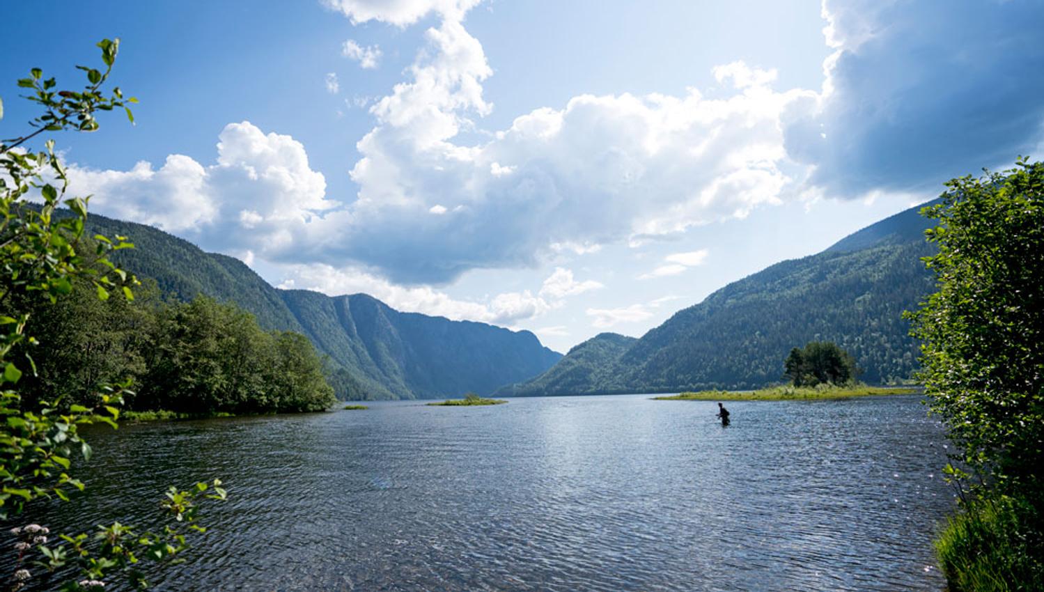 Mann står i vannet og fisker