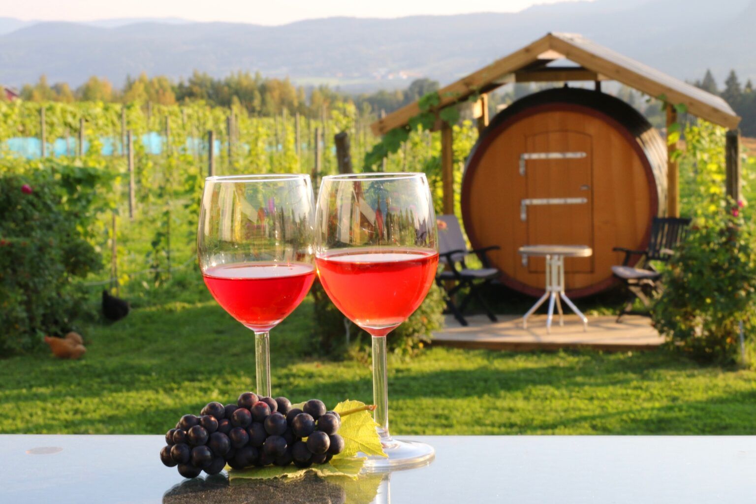 2 wine glasses stand on a table and wine barrel in the background 