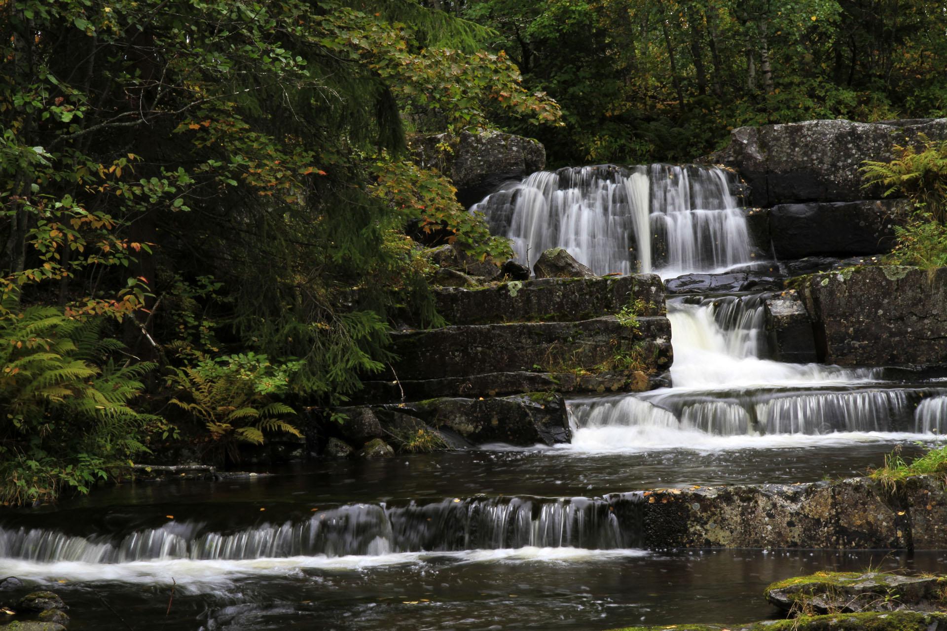 0 _MG_4766_Jørgen Skaug