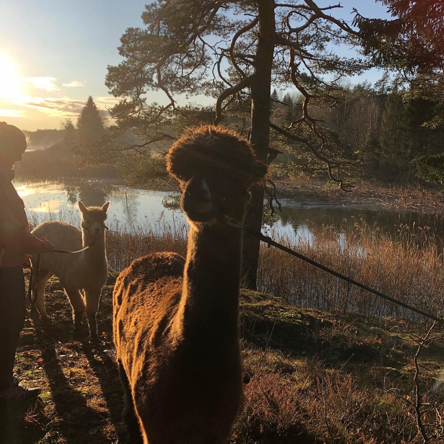 20200129_141105494_iOS