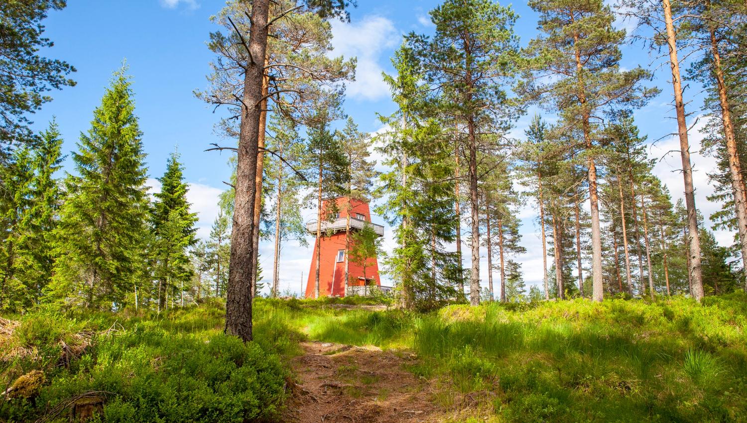 Haukenestårnet sett igjennom trærne