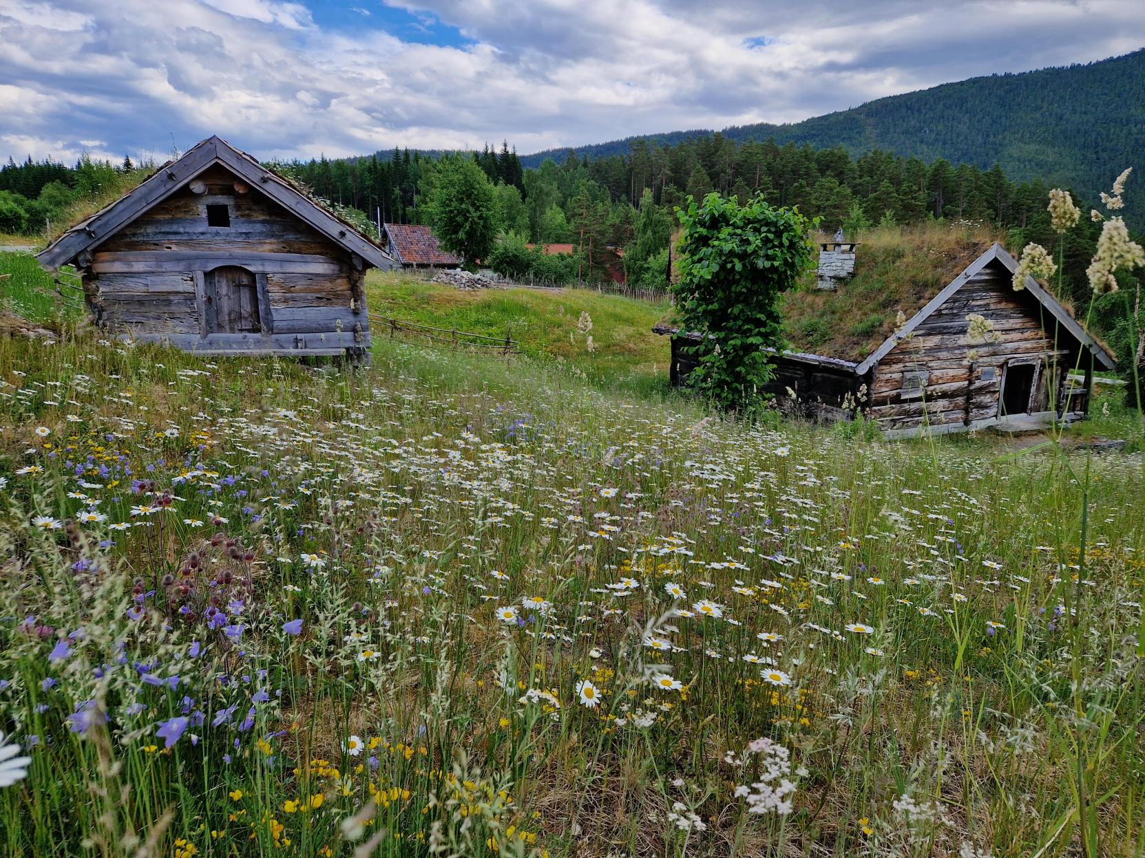 Sommar på friluftsmuseet