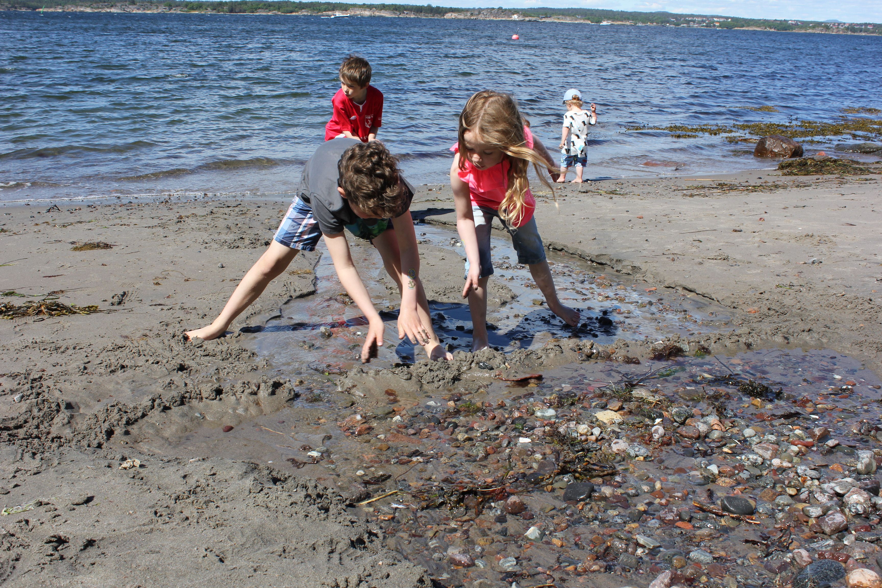Children play in the sandy beach