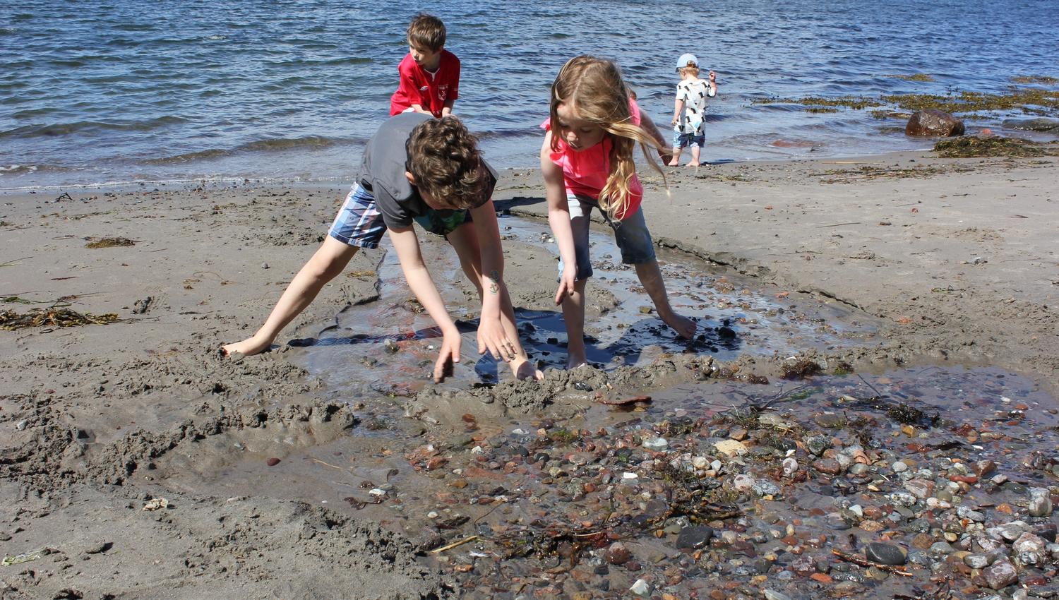 Children play in the sandy beach