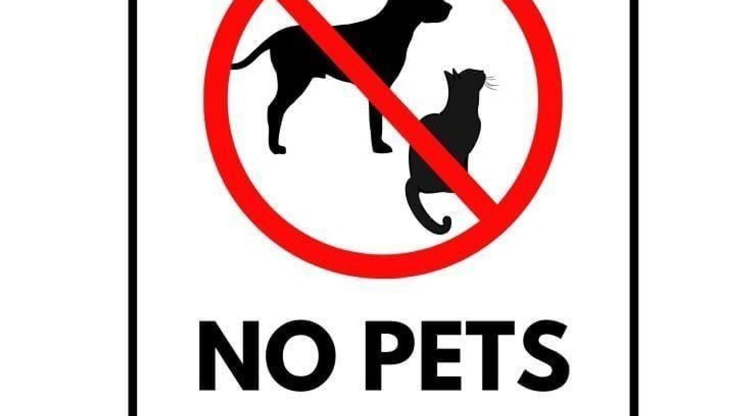 No pets
