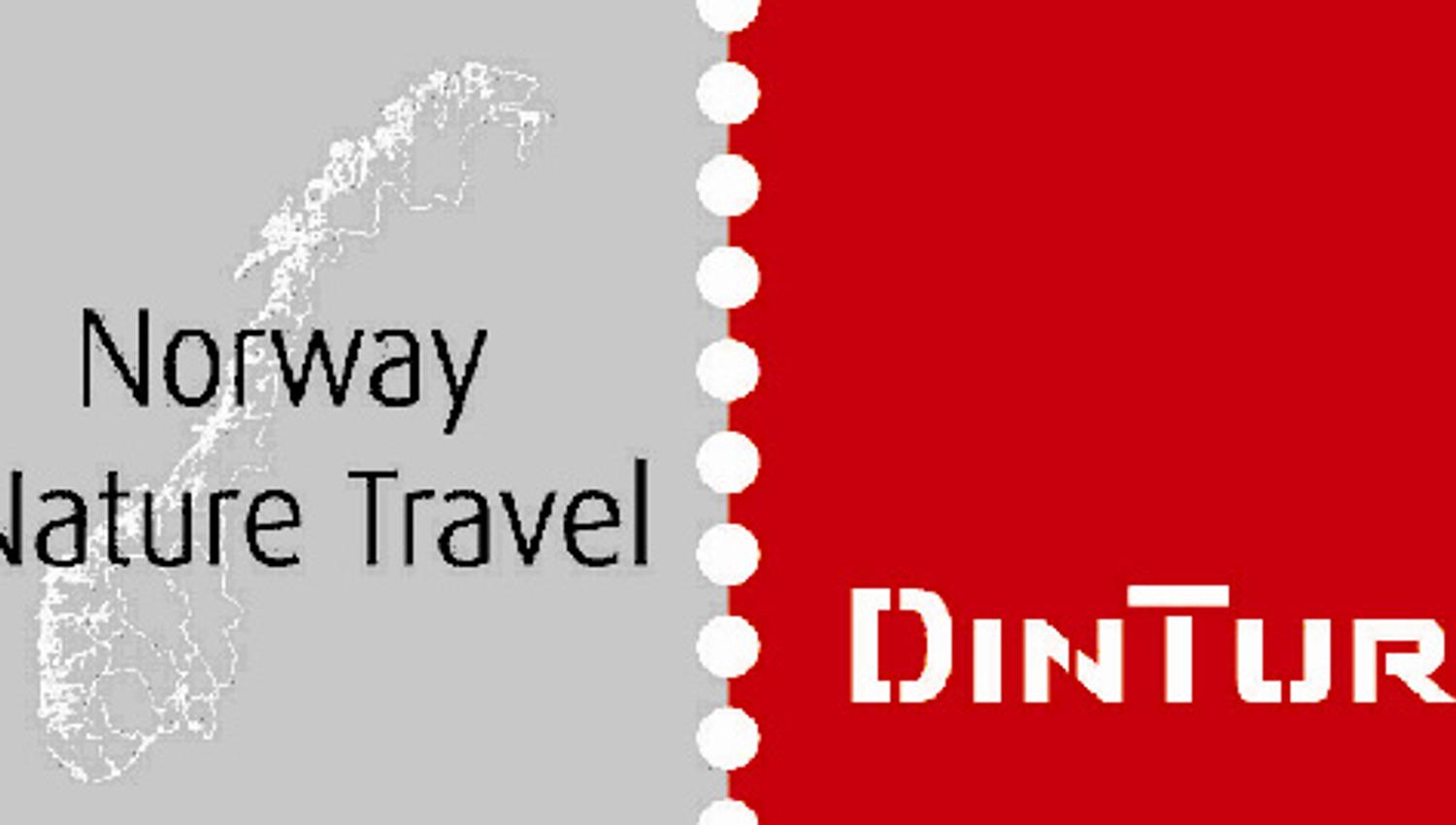 Dintur logo