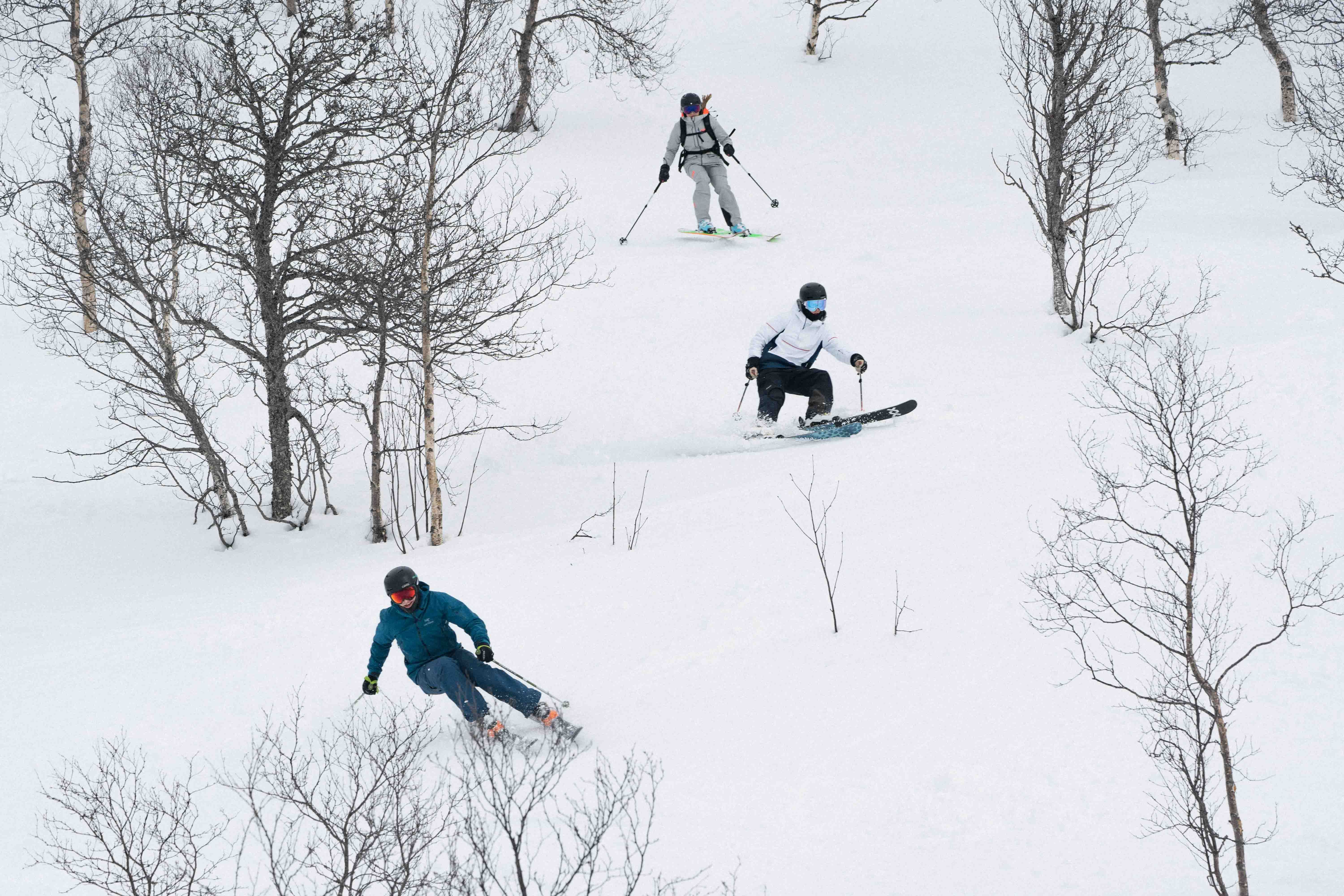 Tre personer står på ski nedover en bakke mellom flere trær.