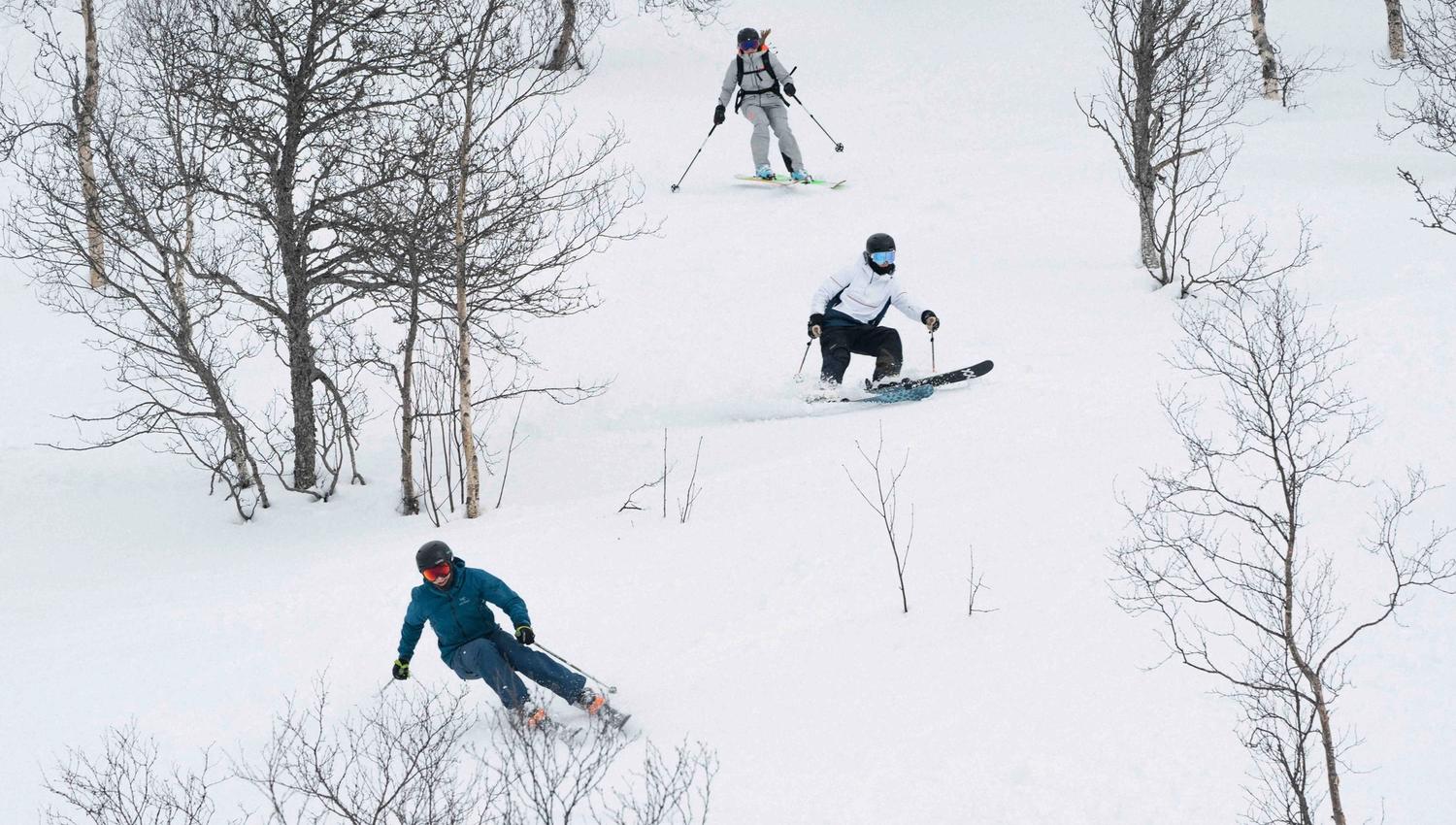 Tre personer står på ski nedover en bakke mellom flere trær.