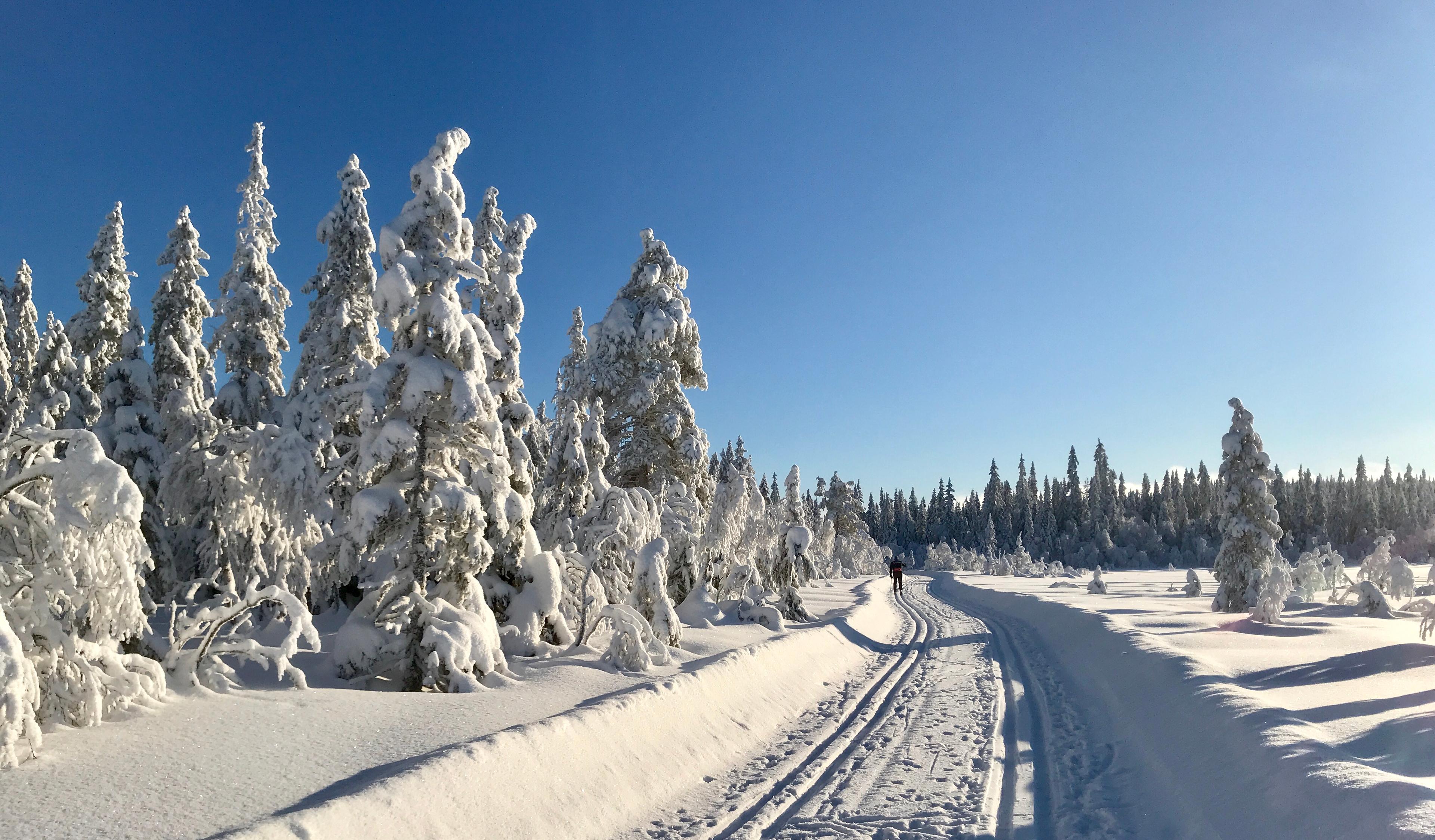 Totenåsen, Ski, Innlandet, Hersjørunden,