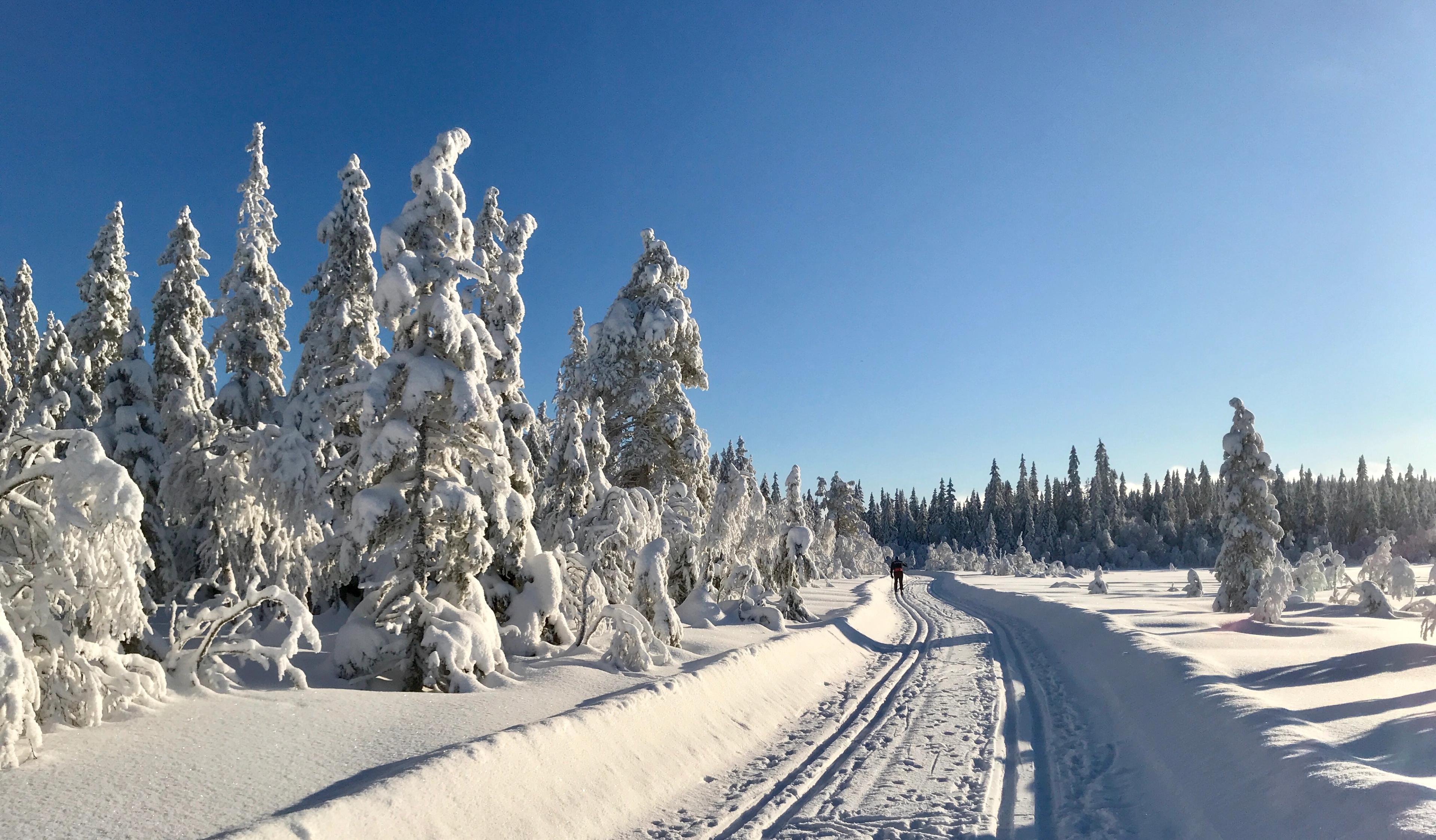 Totenåsen, Ski, Innlandet, Hersjørunden,