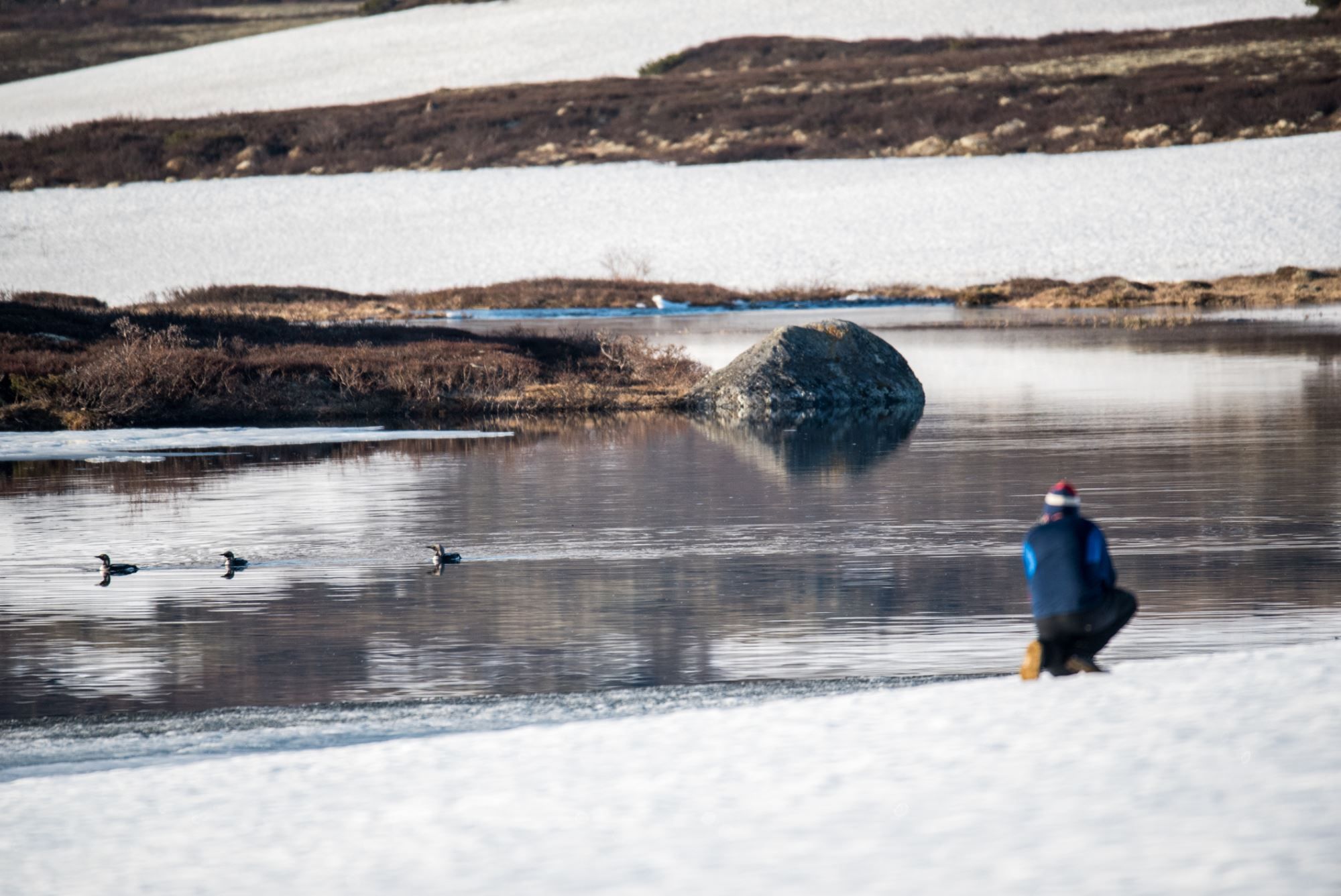 Bird watching with guide