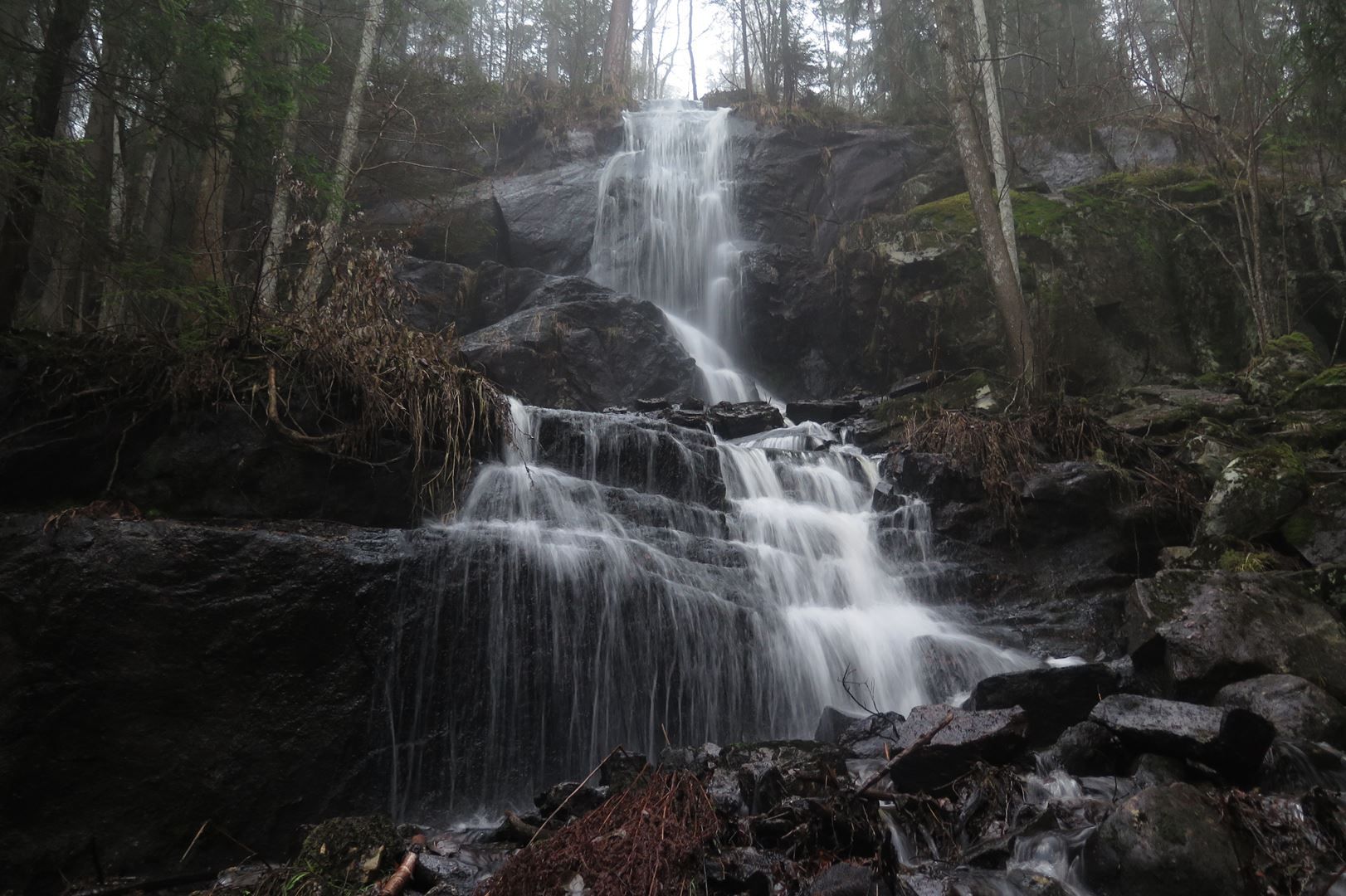 en liten foss i skogen